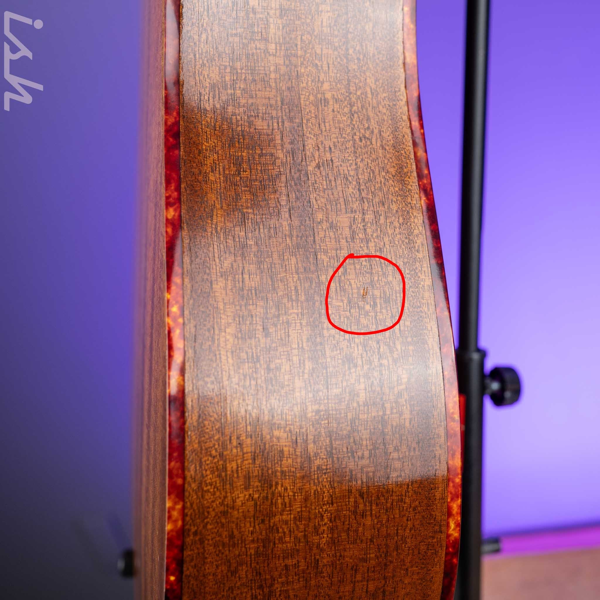1966-1969 Vega A-25 Acoustic Guitar - Image 16