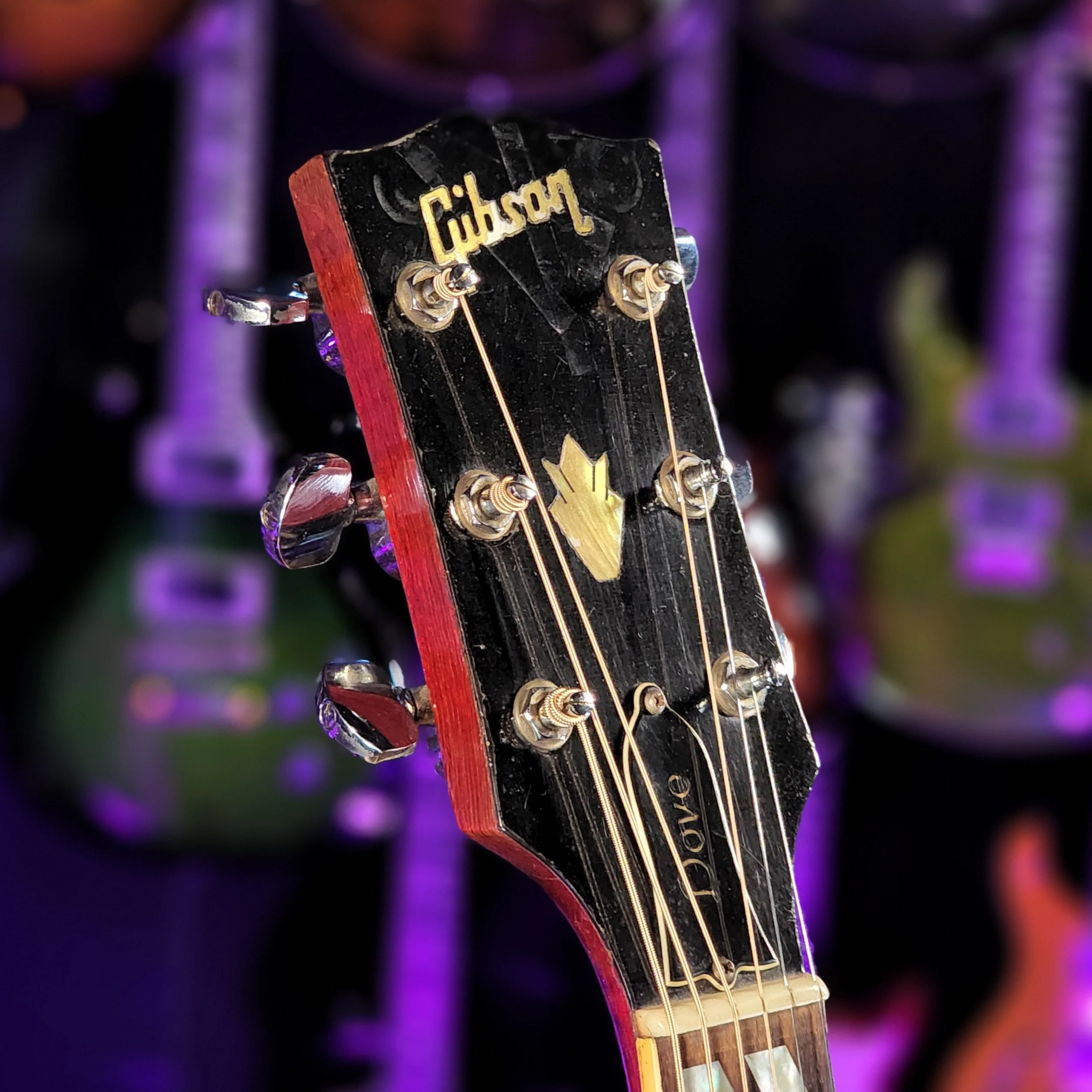 1970-1972 Gibson Dove Natural - Image 11