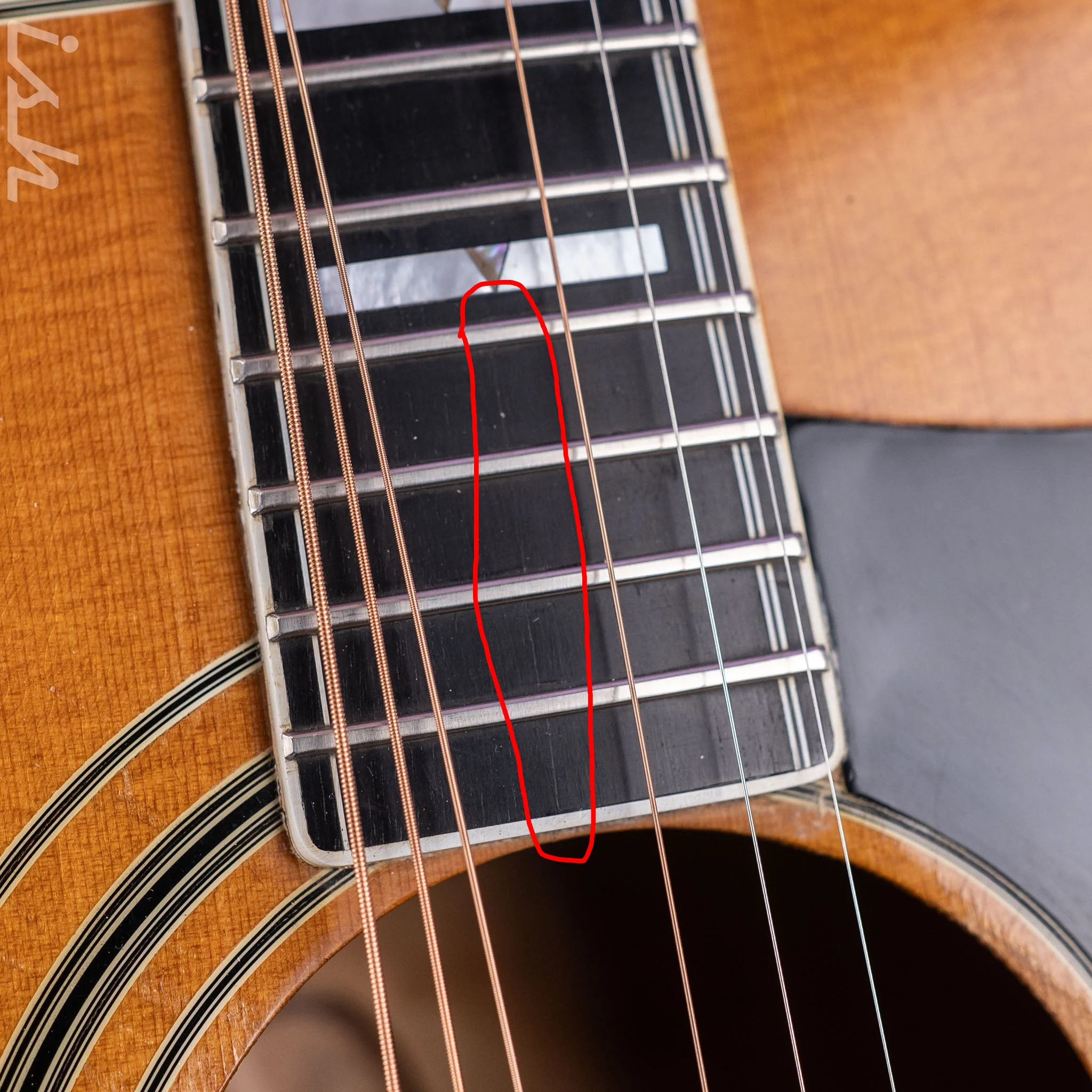 1975 Guild F-50 Natural - Image 11