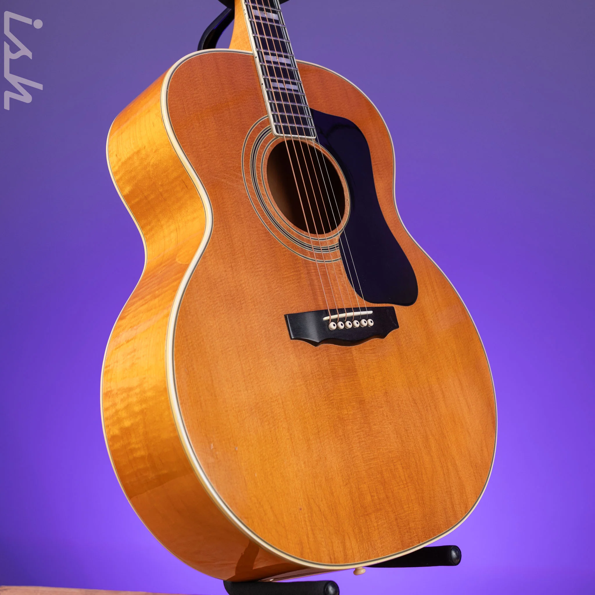 1975 Guild F-50 Natural - Image 3