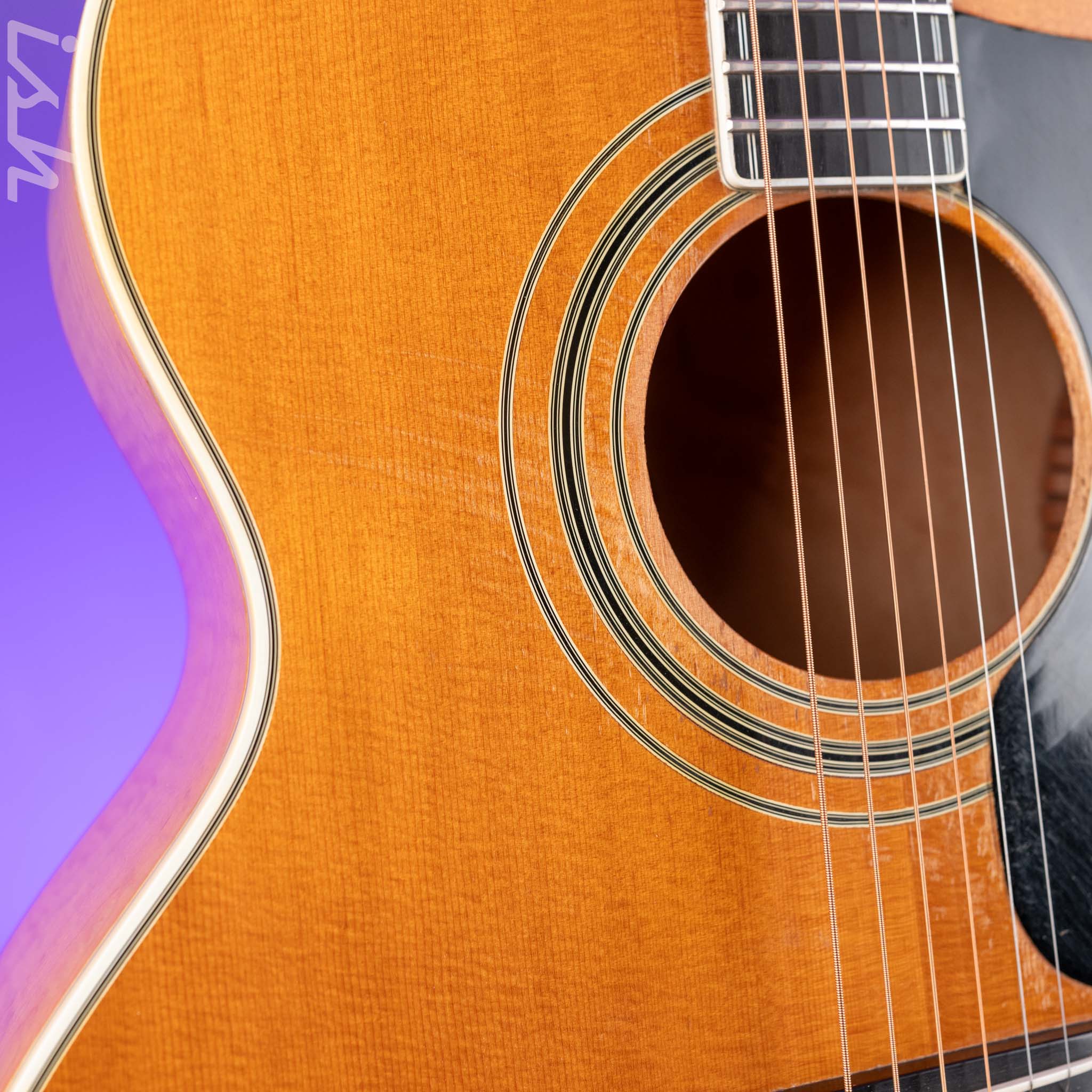 1975 Guild F-50 Natural - Image 6