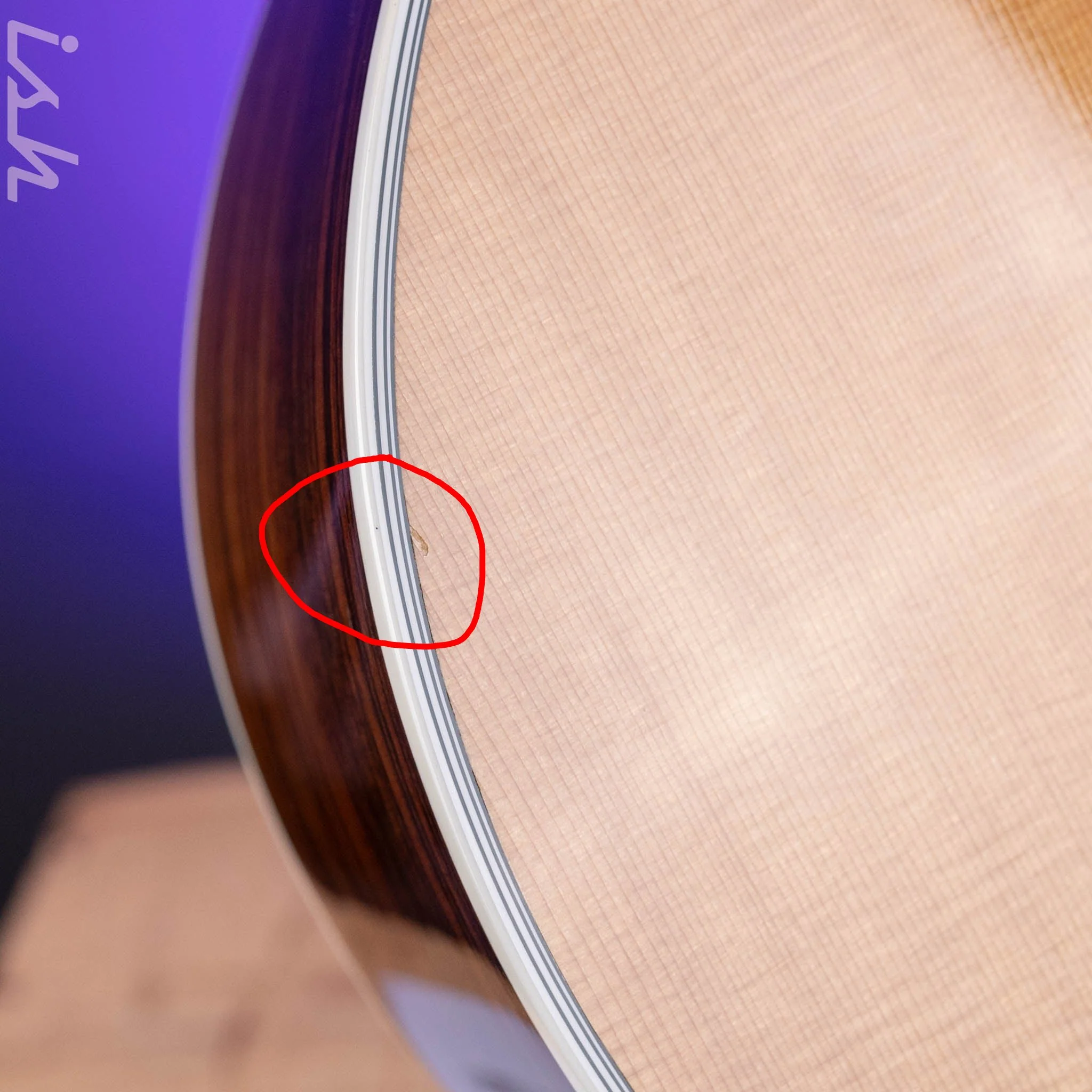1995 Taylor 855 12-String Acoustic Guitar - Image 8