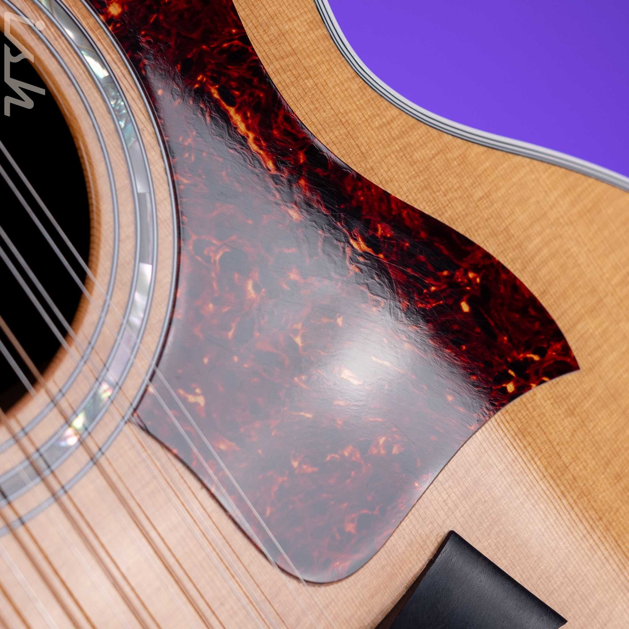 1995 Taylor 855 12-String Acoustic Guitar - Image 9
