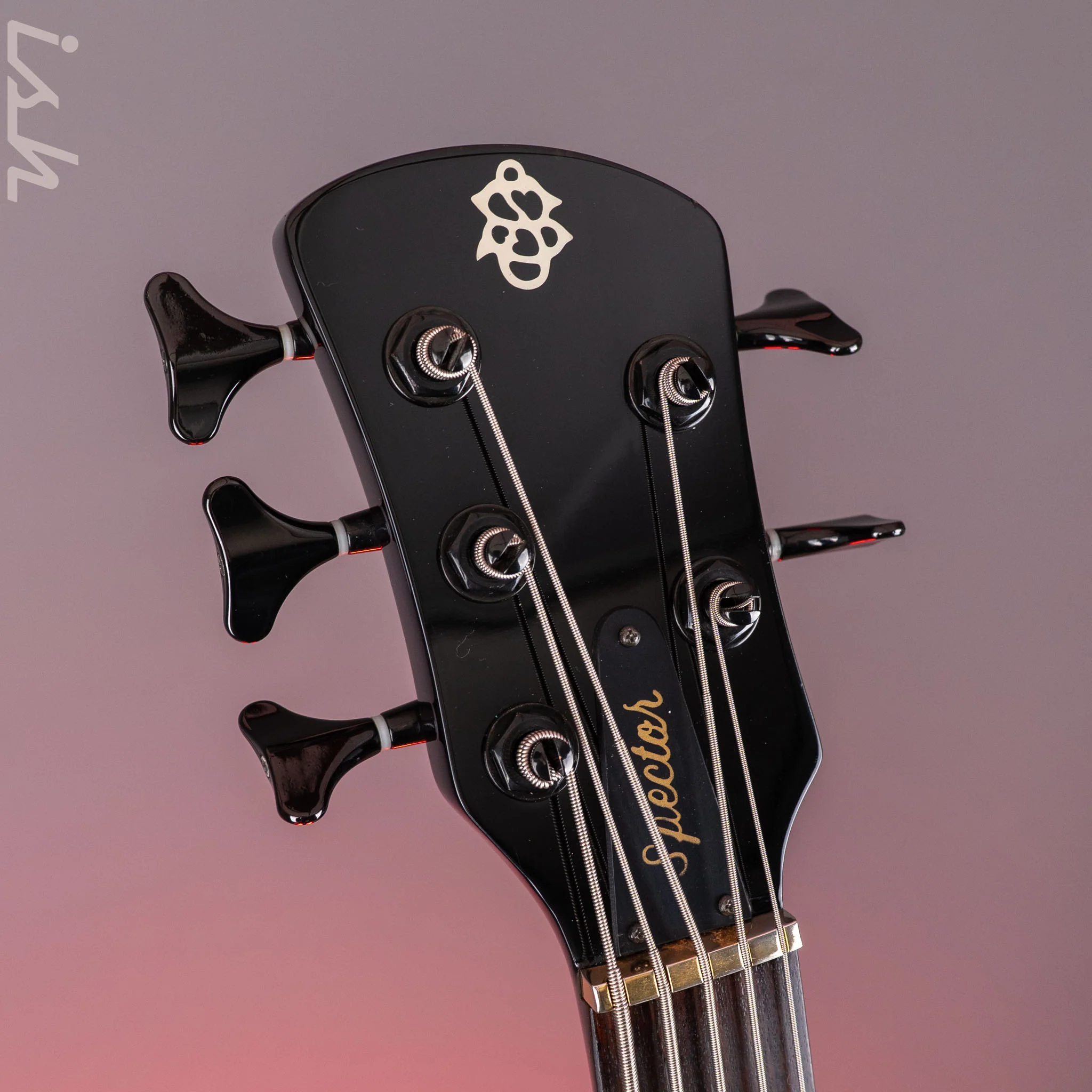 2000s Spector Rex Brown Signature 5 String Trans Black - Image 12