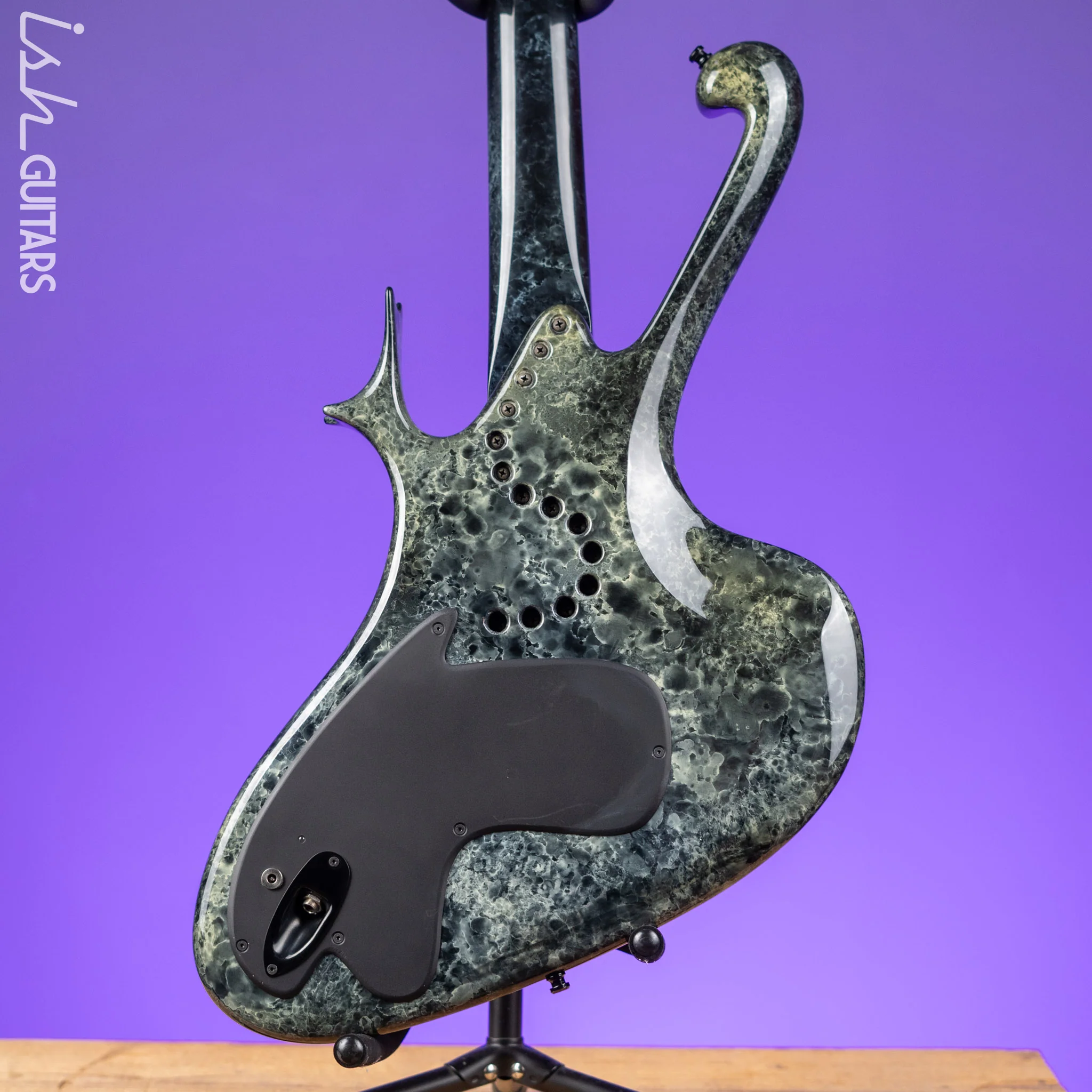 2002 Ritter Raptor Fretless 4-String Bass Marble - Image 12