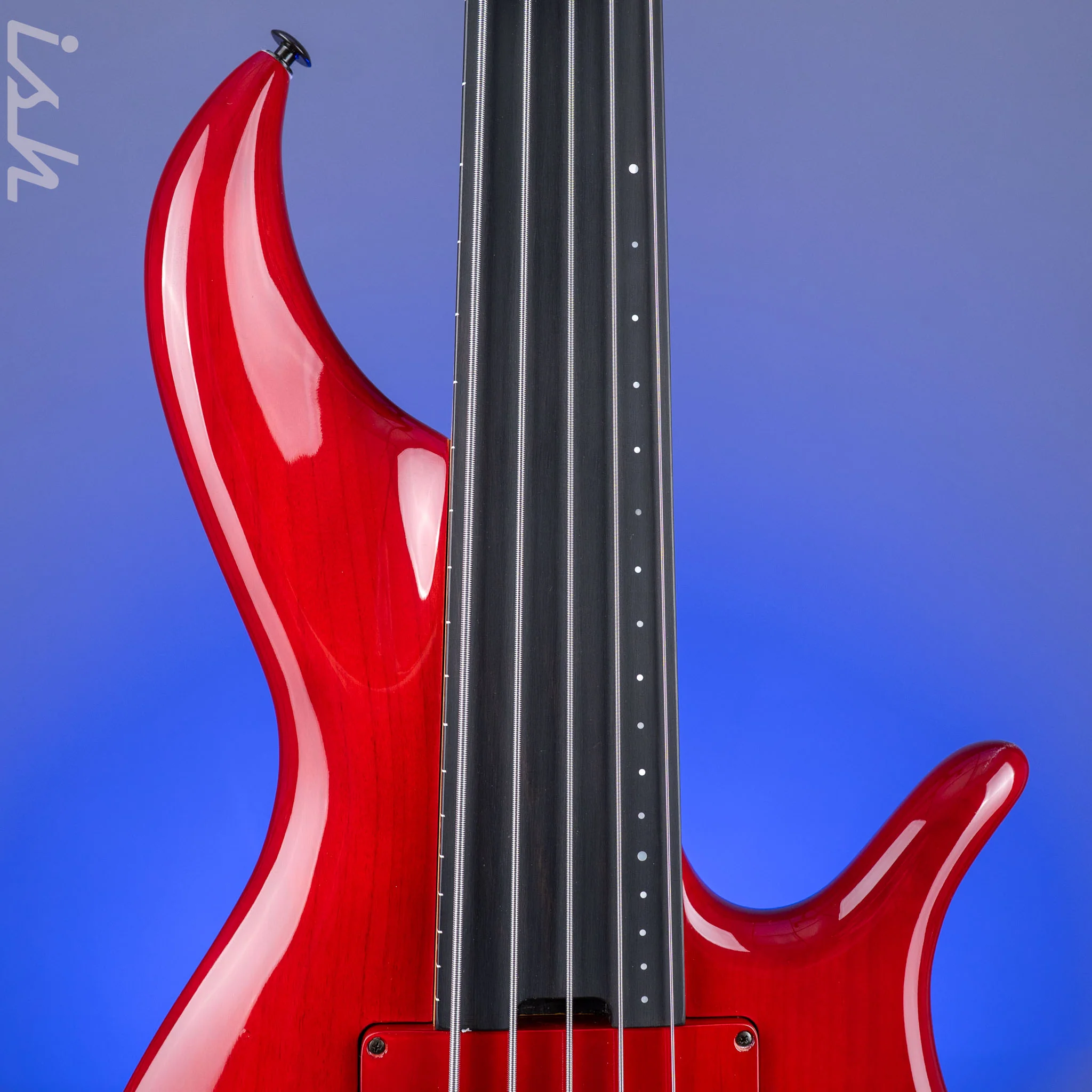2004 F Bass BNF5 Fretless Transparent Red - Image 6