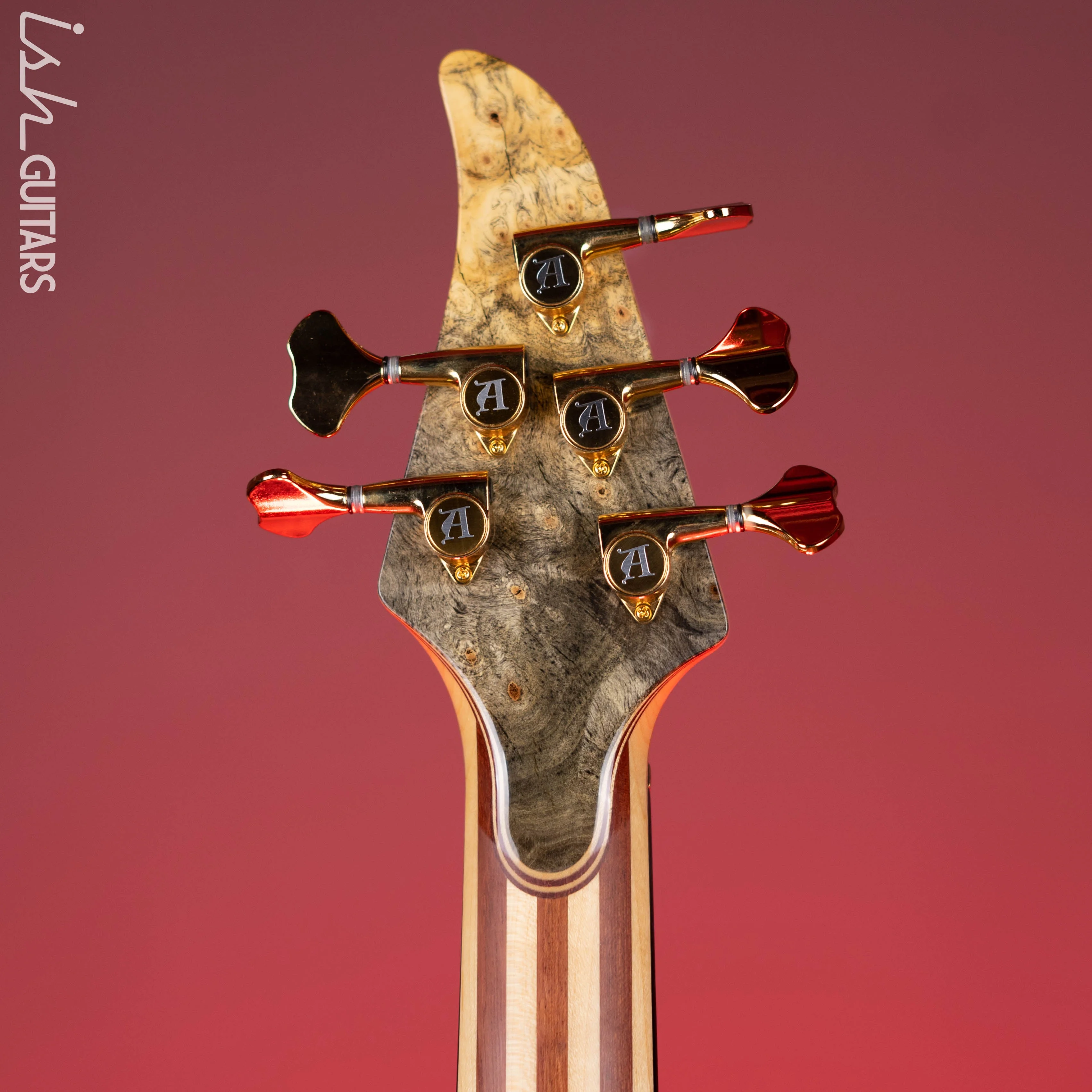 2005 Alembic Essence 5 String Natural - Image 12