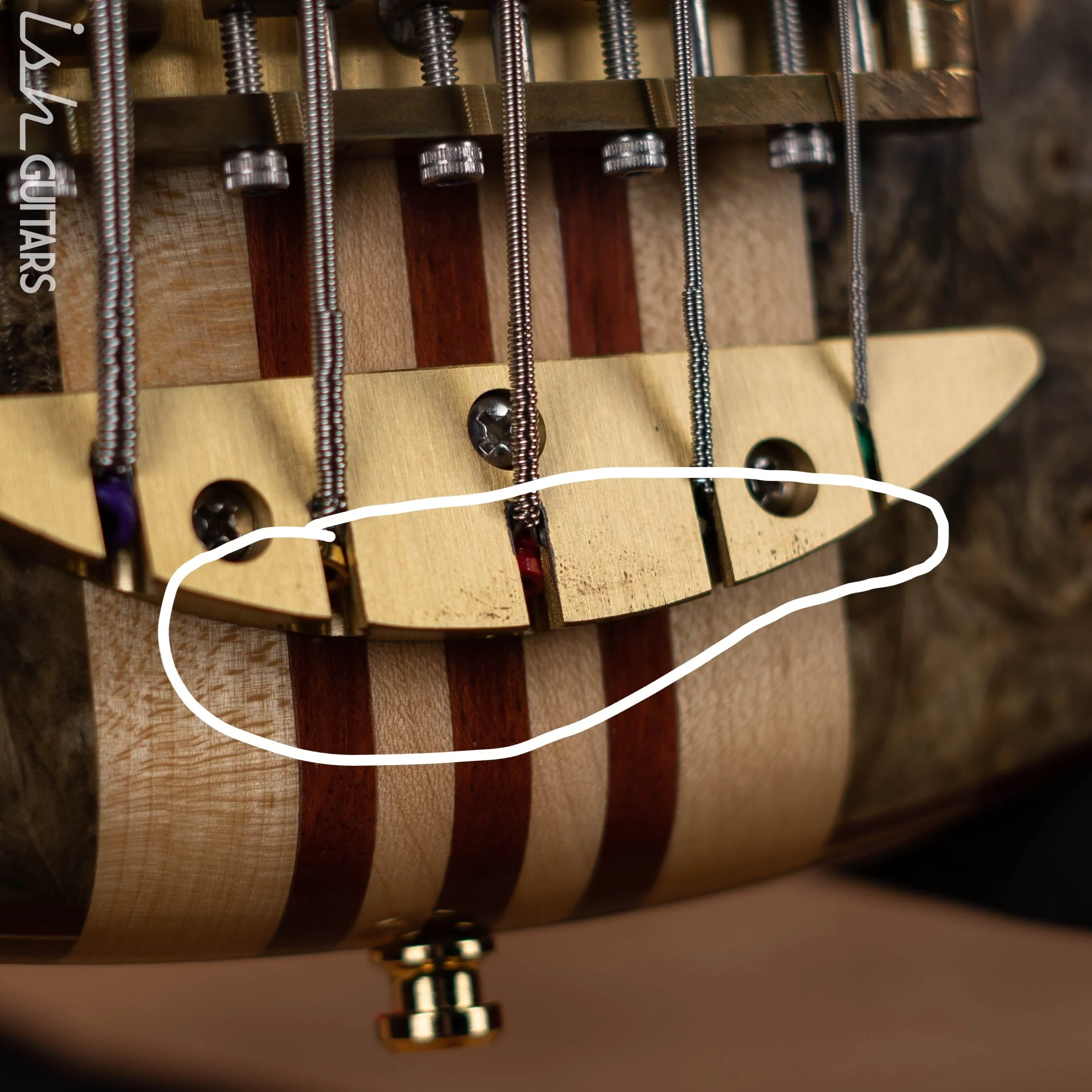 2005 Alembic Essence 5 String Natural - Image 13
