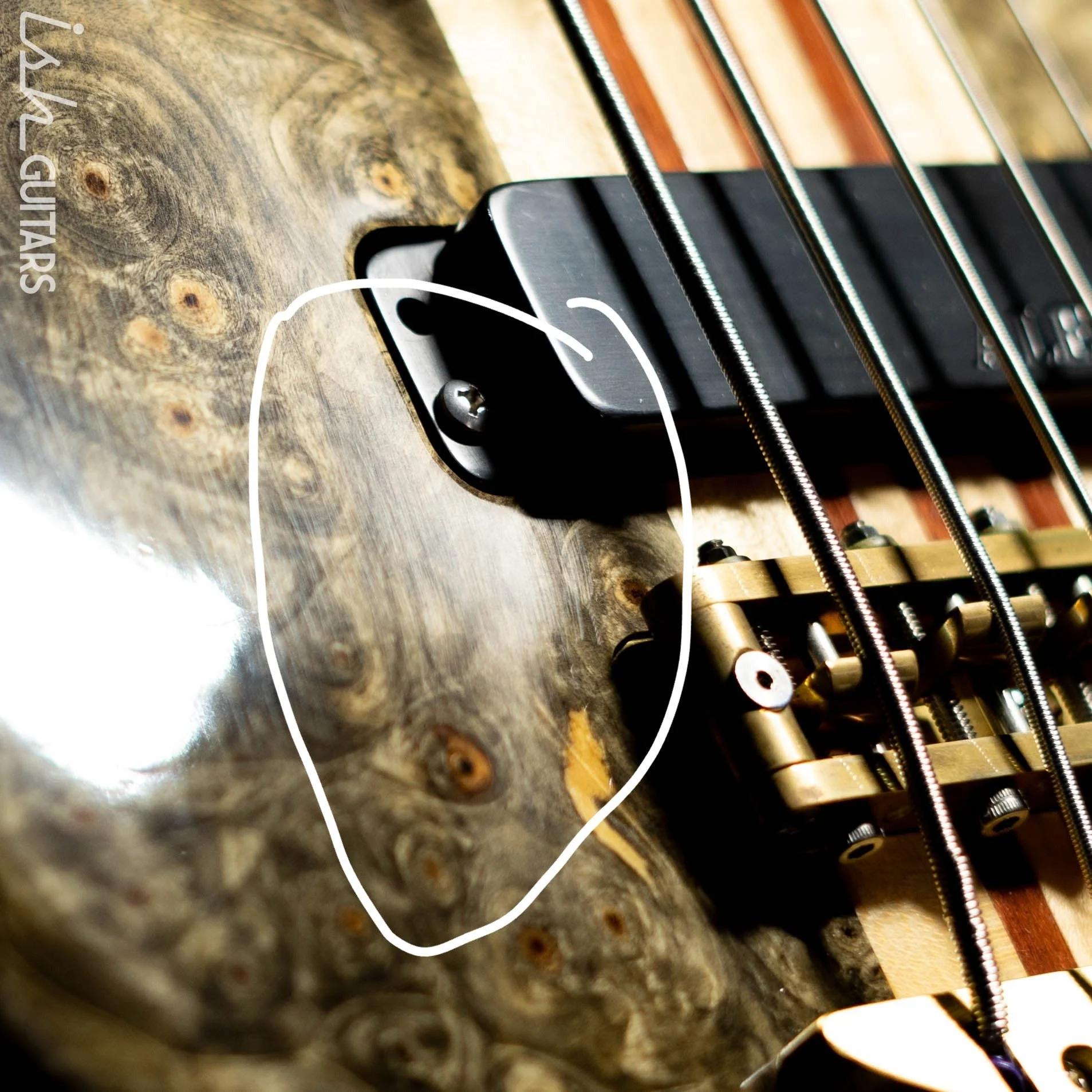 2005 Alembic Essence 5 String Natural - Image 18