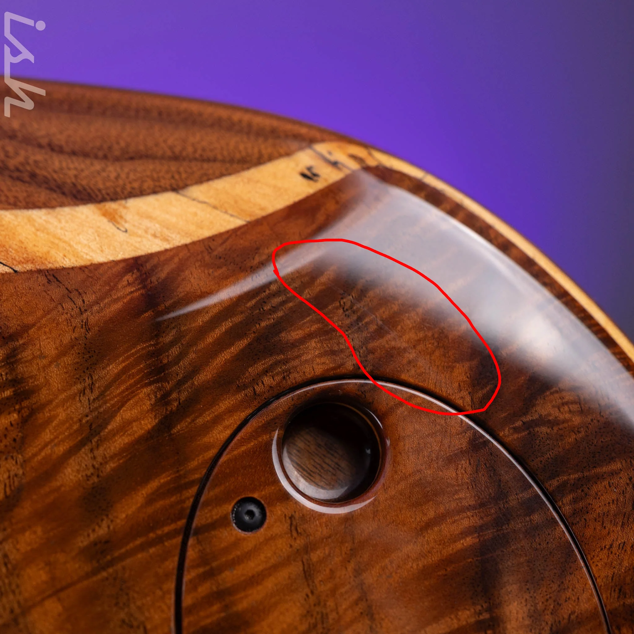 2006 Dingwall Prima Artist Claro Walnut - Image 14