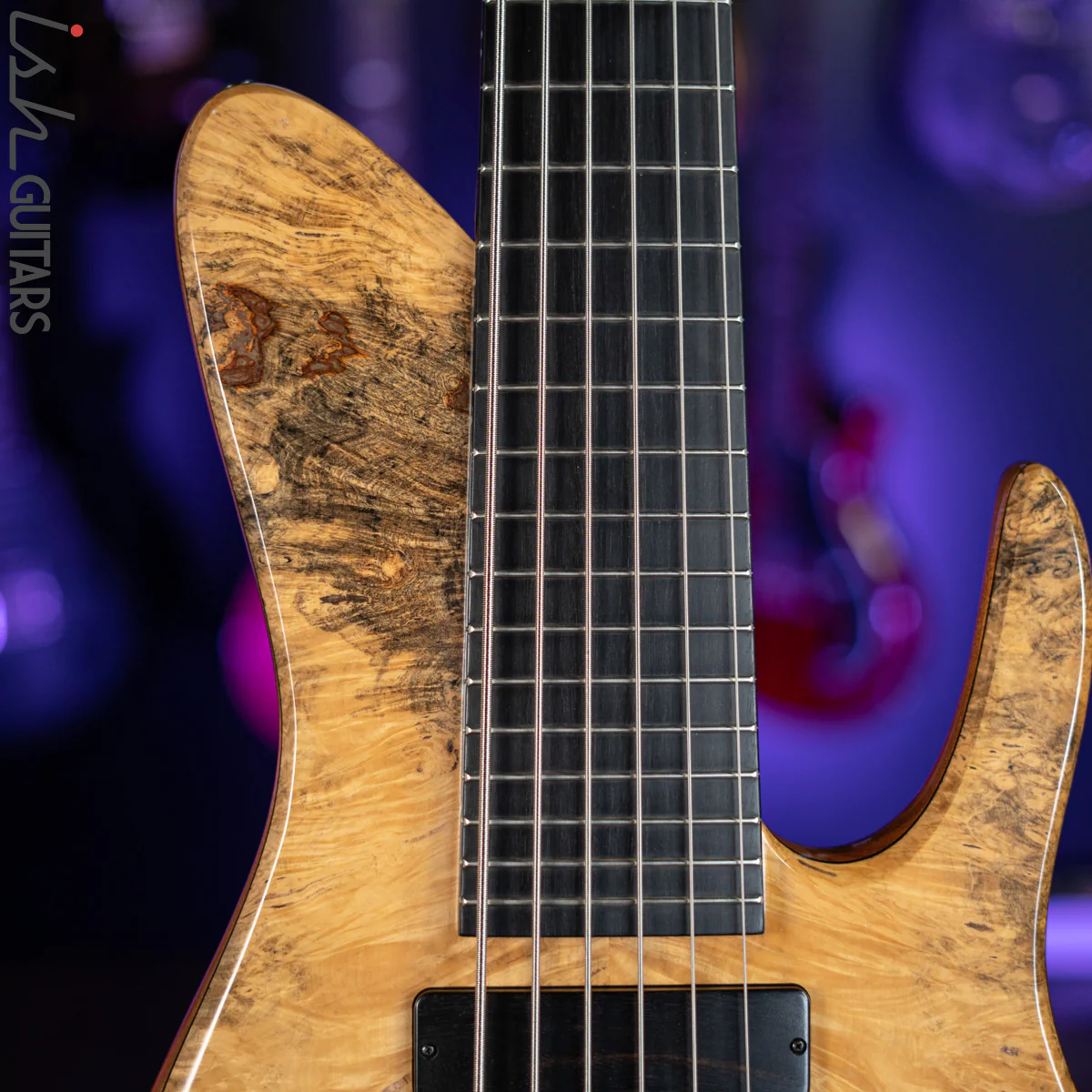 2006 Fodera Beez Elite 6 Singlecut 6-String Bass Natural Buckeye Burl - Image 3