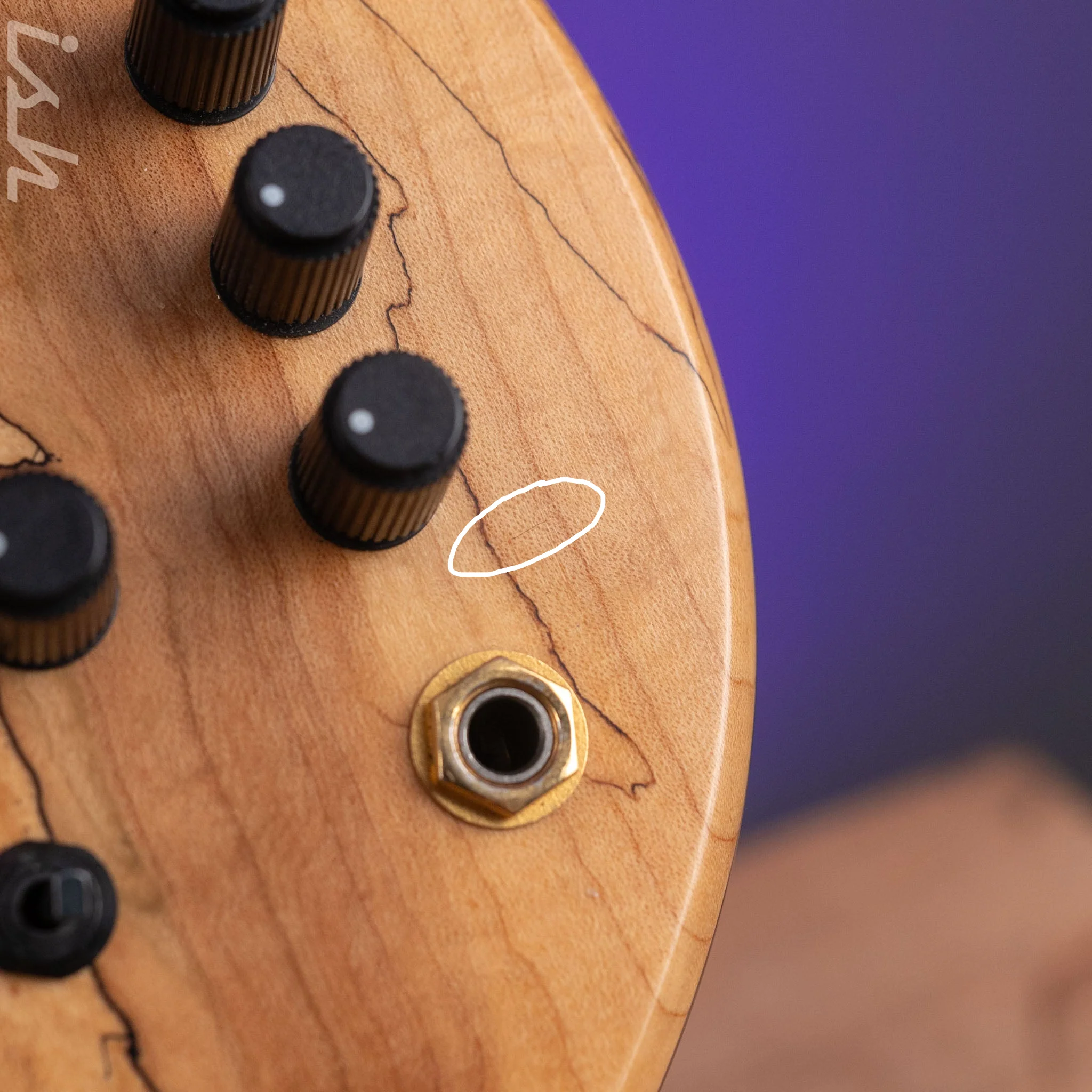 2008 Fodera Monarch Custom 6 String Fretless Bass Spalted Maple - Image 10