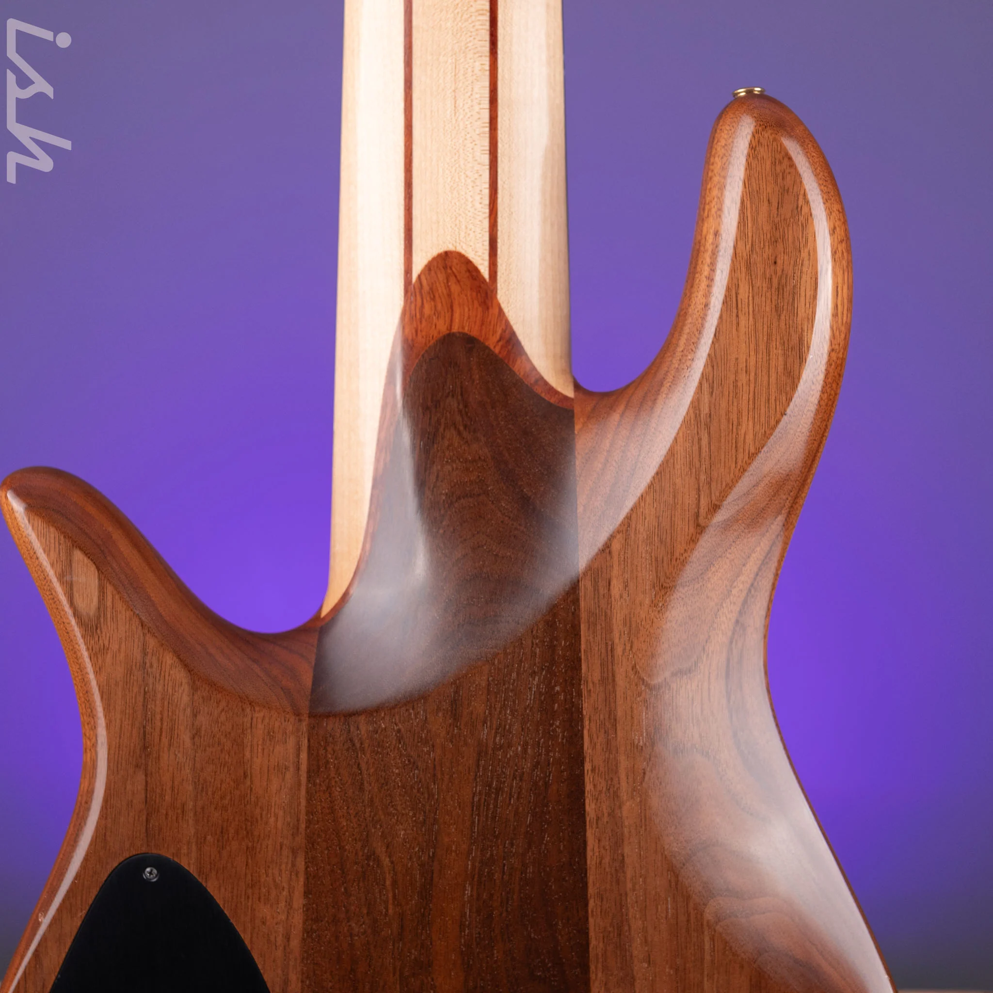 2008 Fodera Monarch Custom 6 String Fretless Bass Spalted Maple - Image 13