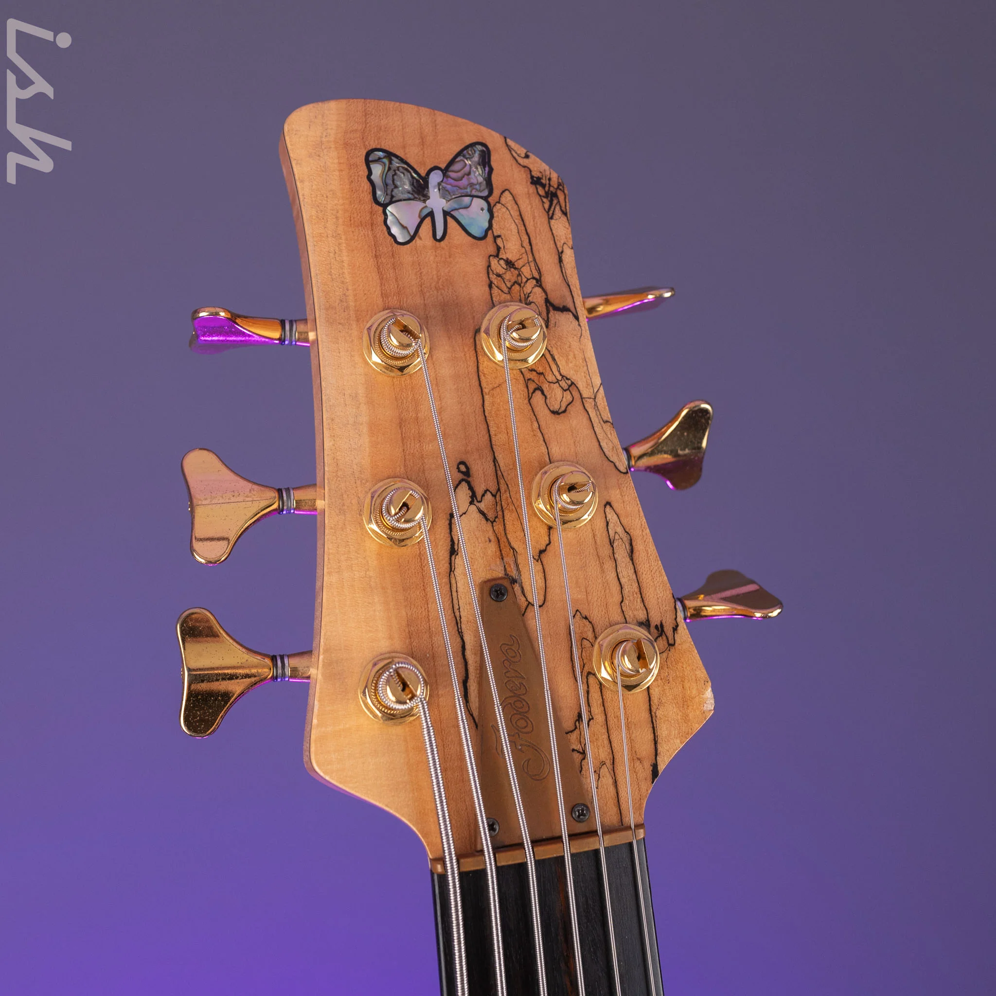2008 Fodera Monarch Custom 6 String Fretless Bass Spalted Maple - Image 6