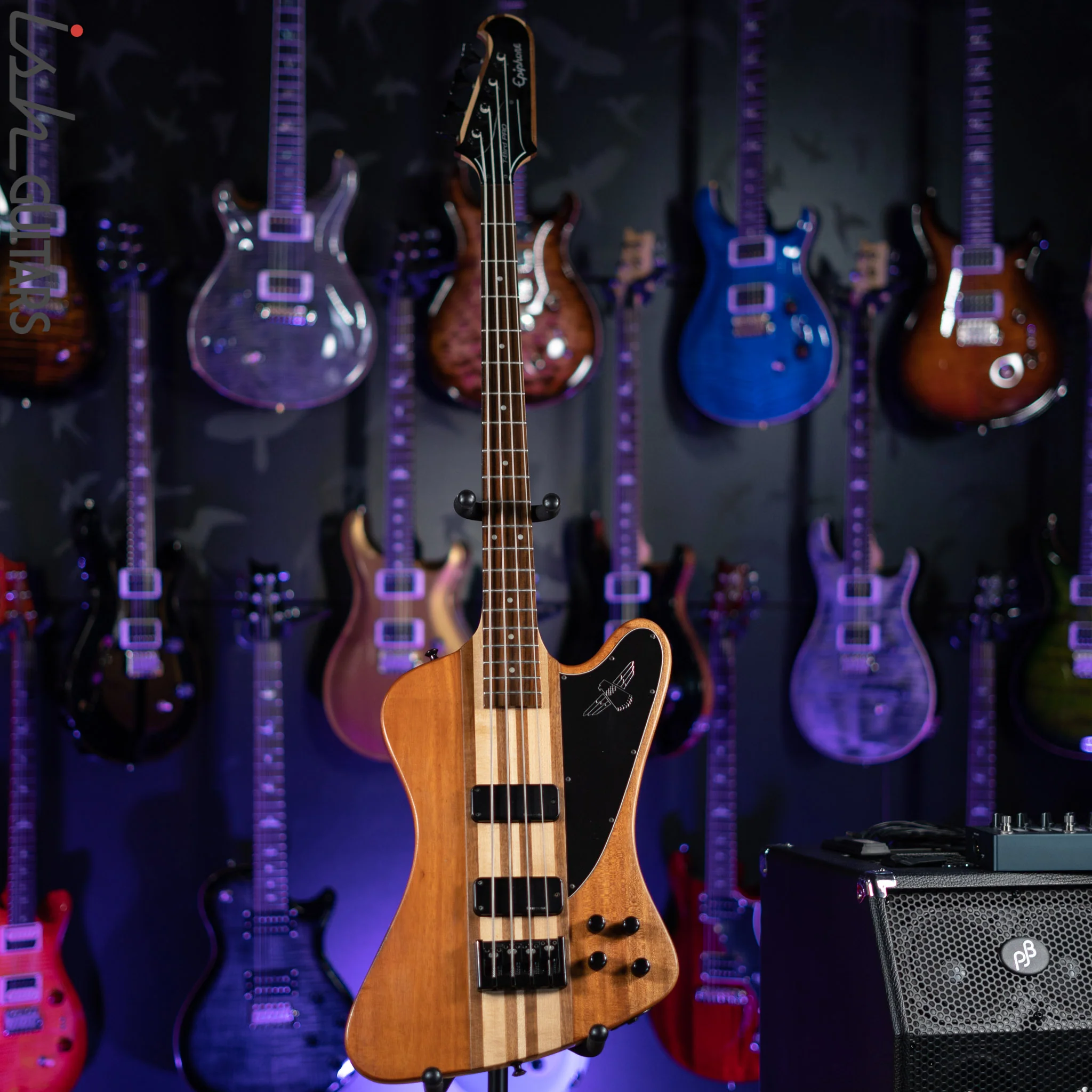 2009 Epiphone Thunderbird Pro IV String Bass Natural - Image 2