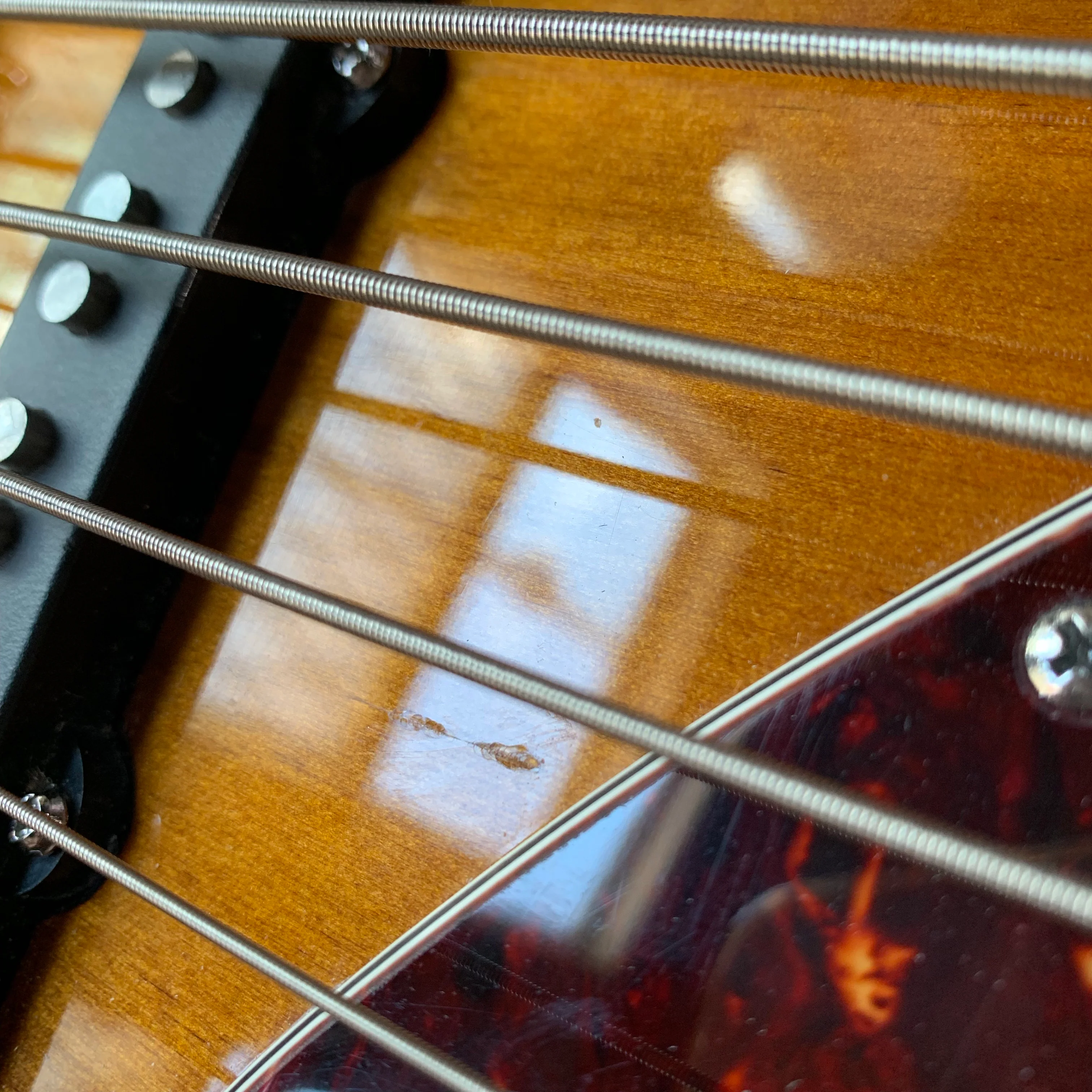 2009 Fender Steve Bailey Jazz Bass 6 String - Image 20