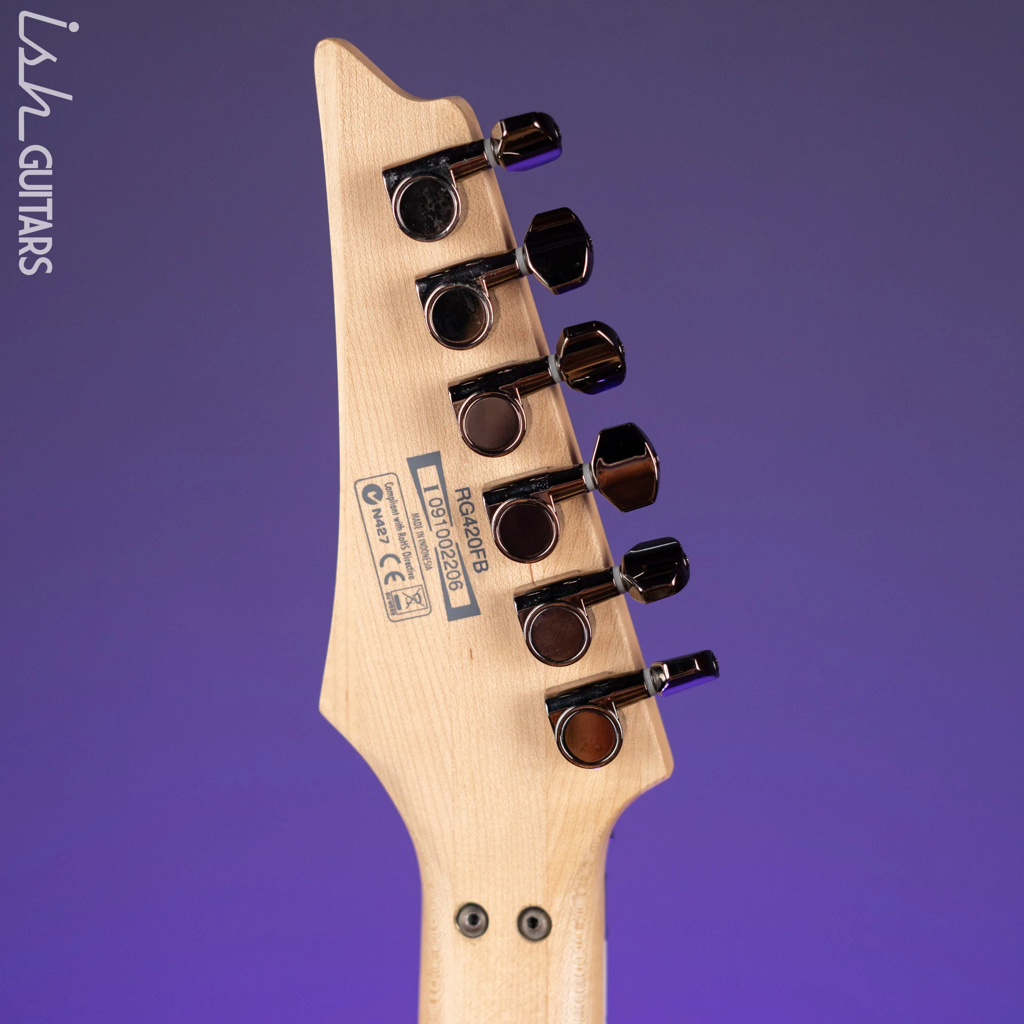 2009 Ibanez RG420FB Flat Brown - Image 14