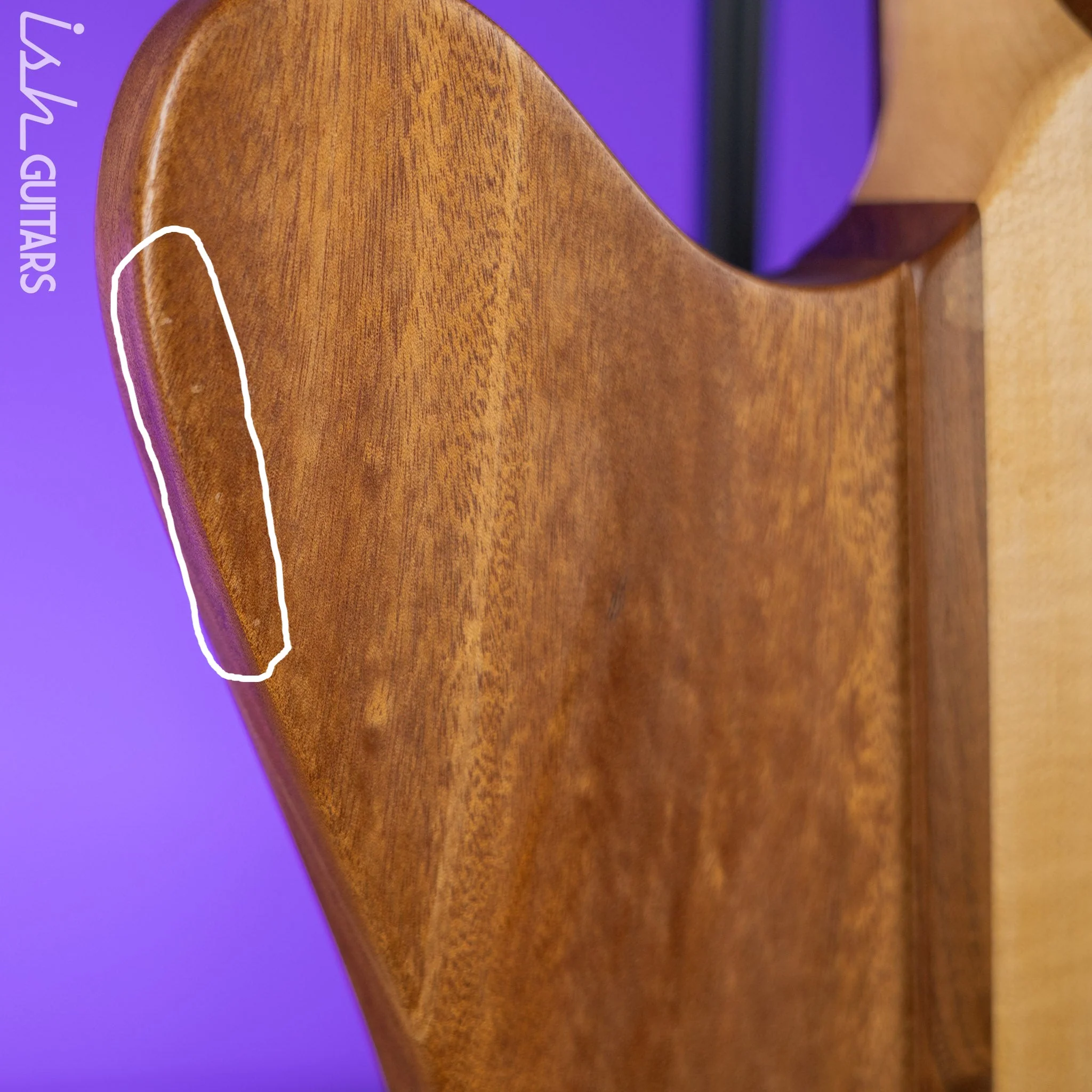 2010 Epiphone Thunderbird Pro IV Bass Natural - Image 13