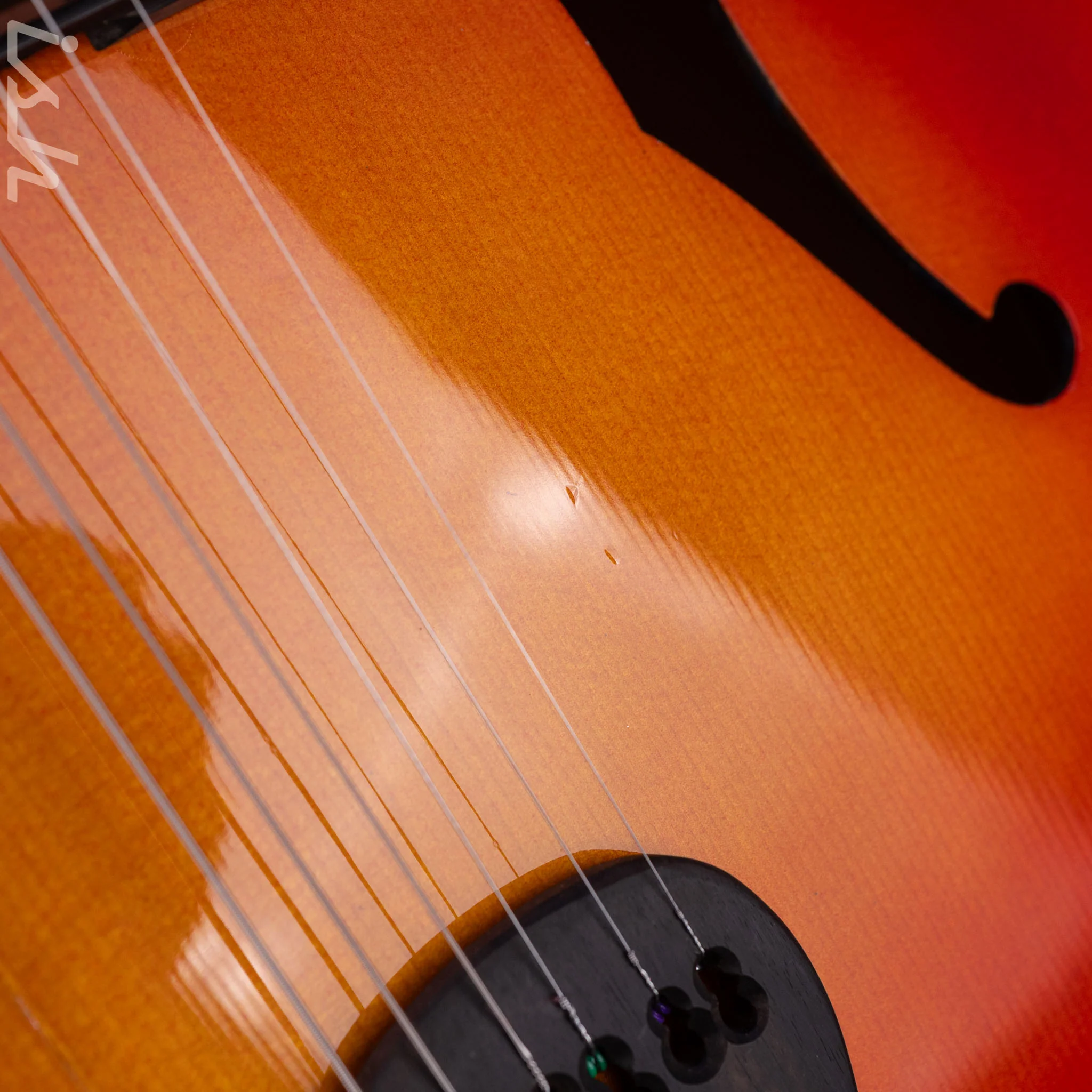 2010 Insalaco Archtop Cherry Burst - Image 7