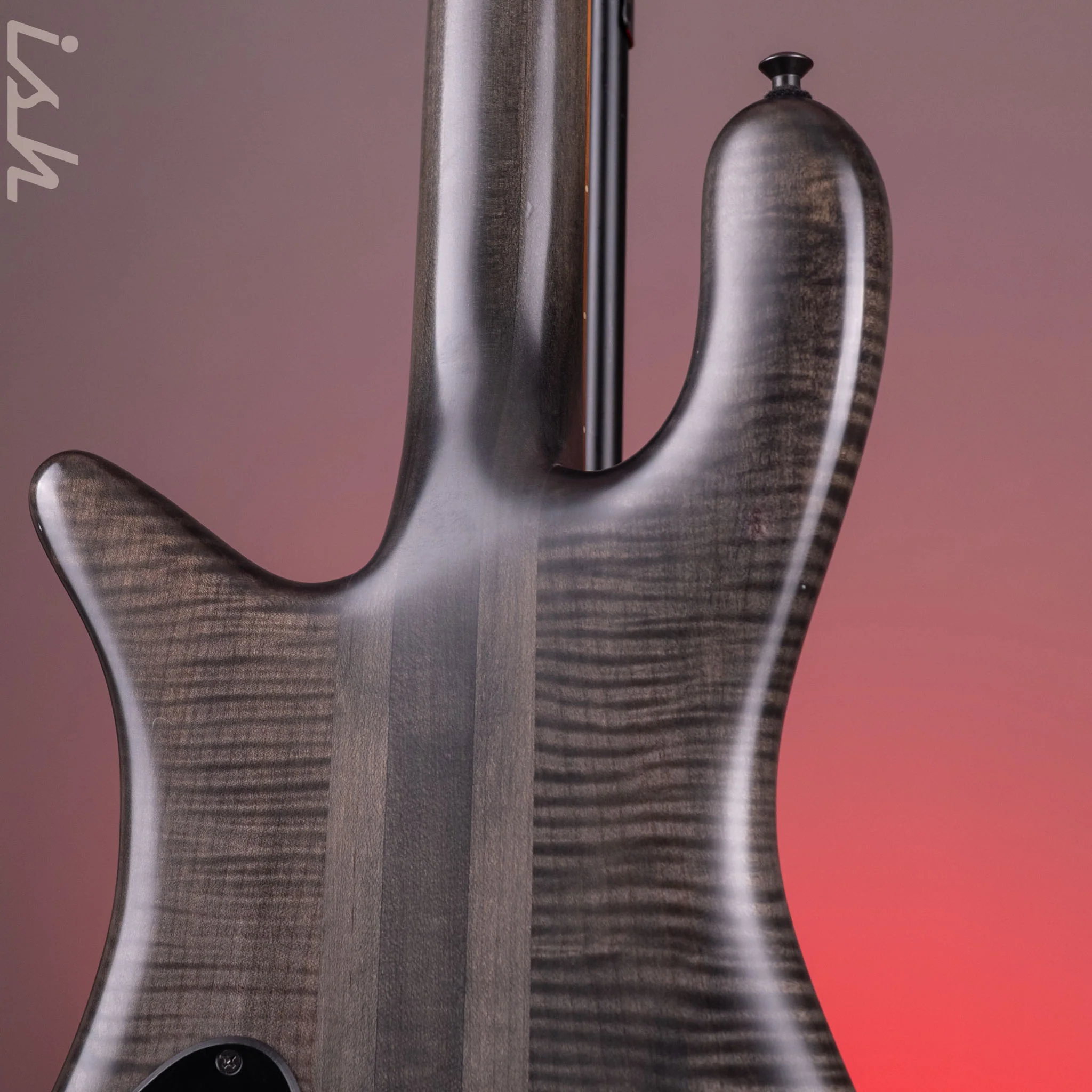 2011 Spector Forte 4 Matte Black Satin - Image 16