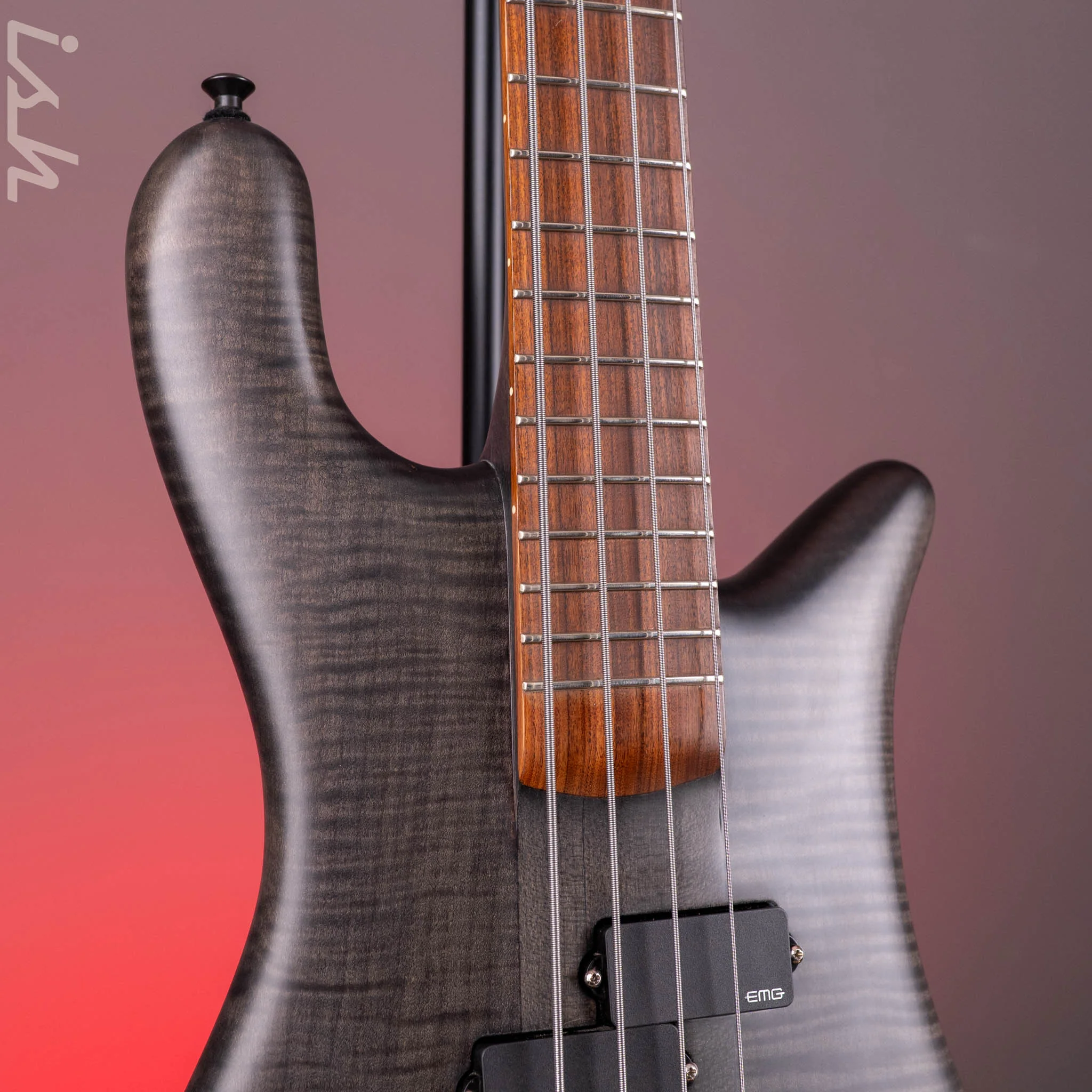 2011 Spector Forte 4 Matte Black Satin - Image 4