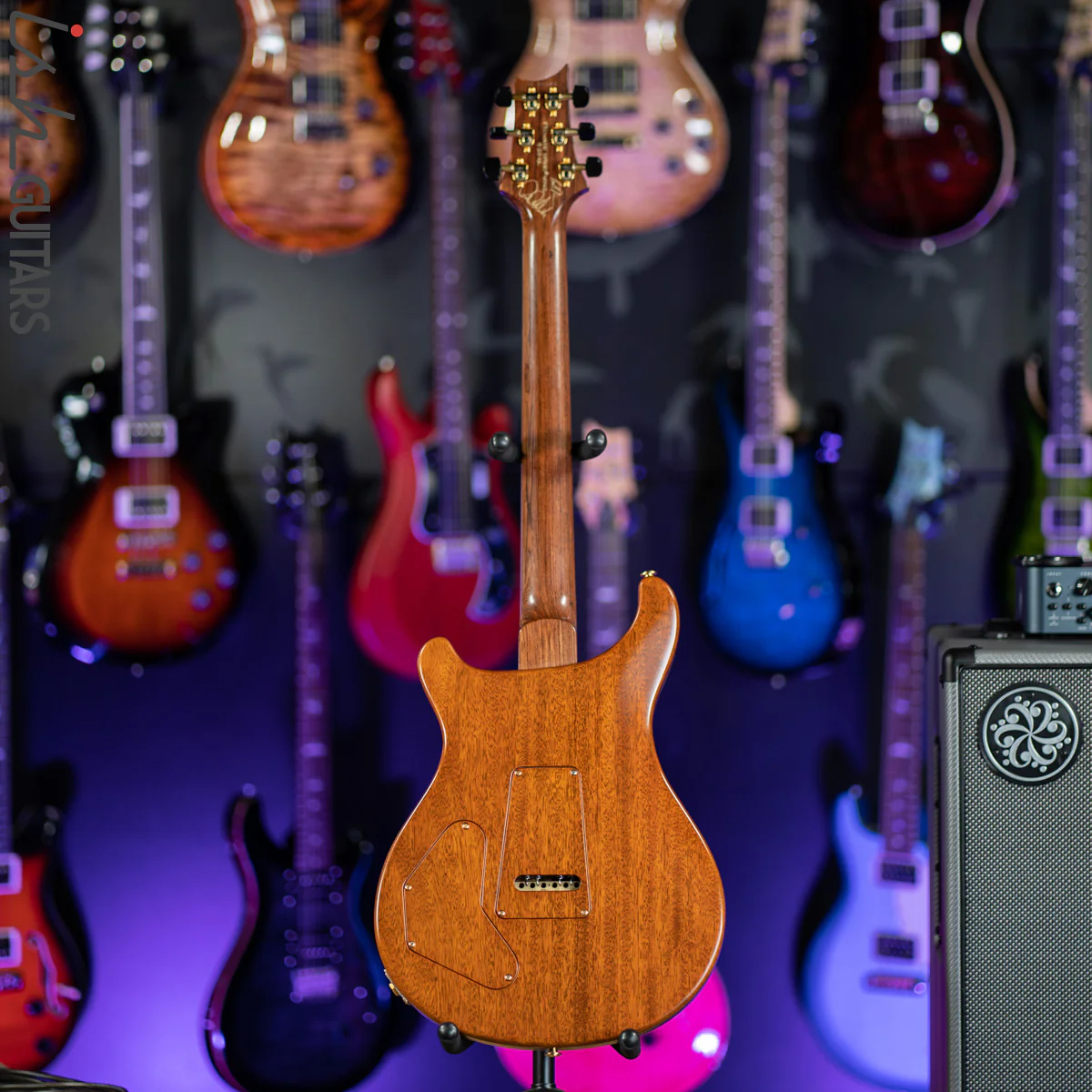 2012 PRS Private Stock DGT Spalted Maple Rosewood Neck Americana Birds - Image 10