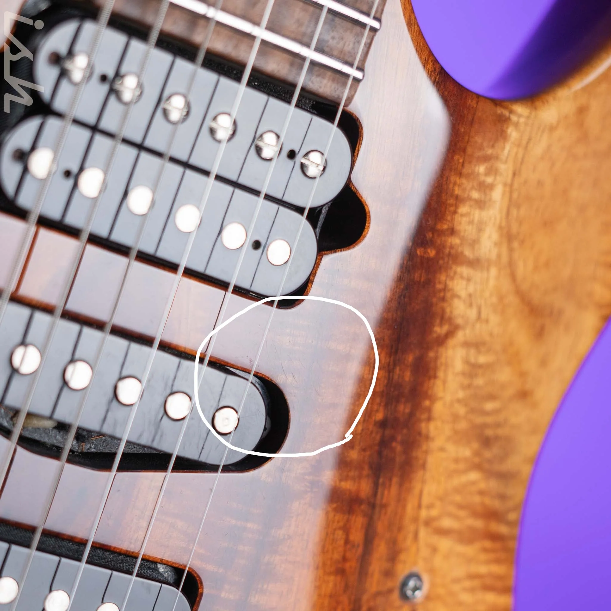 2015 Suhr Modern Carve Top Natural Curl Koa - Image 7