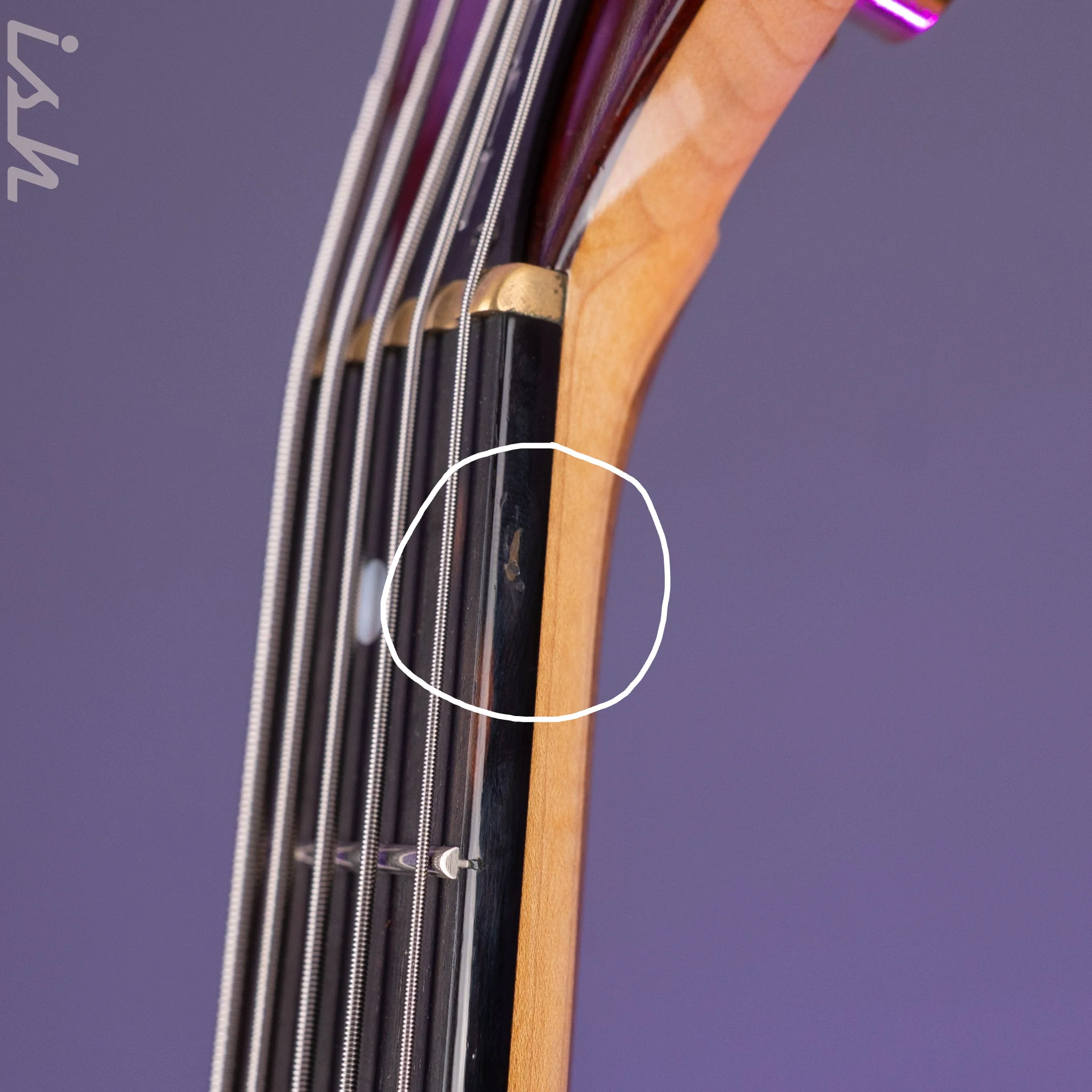 2016 Ken Smith BSR5EG Cocobolo - Image 6