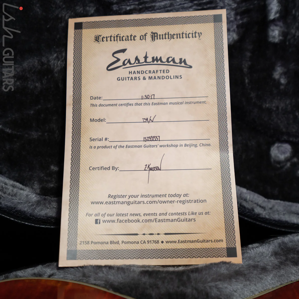 2017 Eastman T59/V Thinline Antique Amber - Image 17