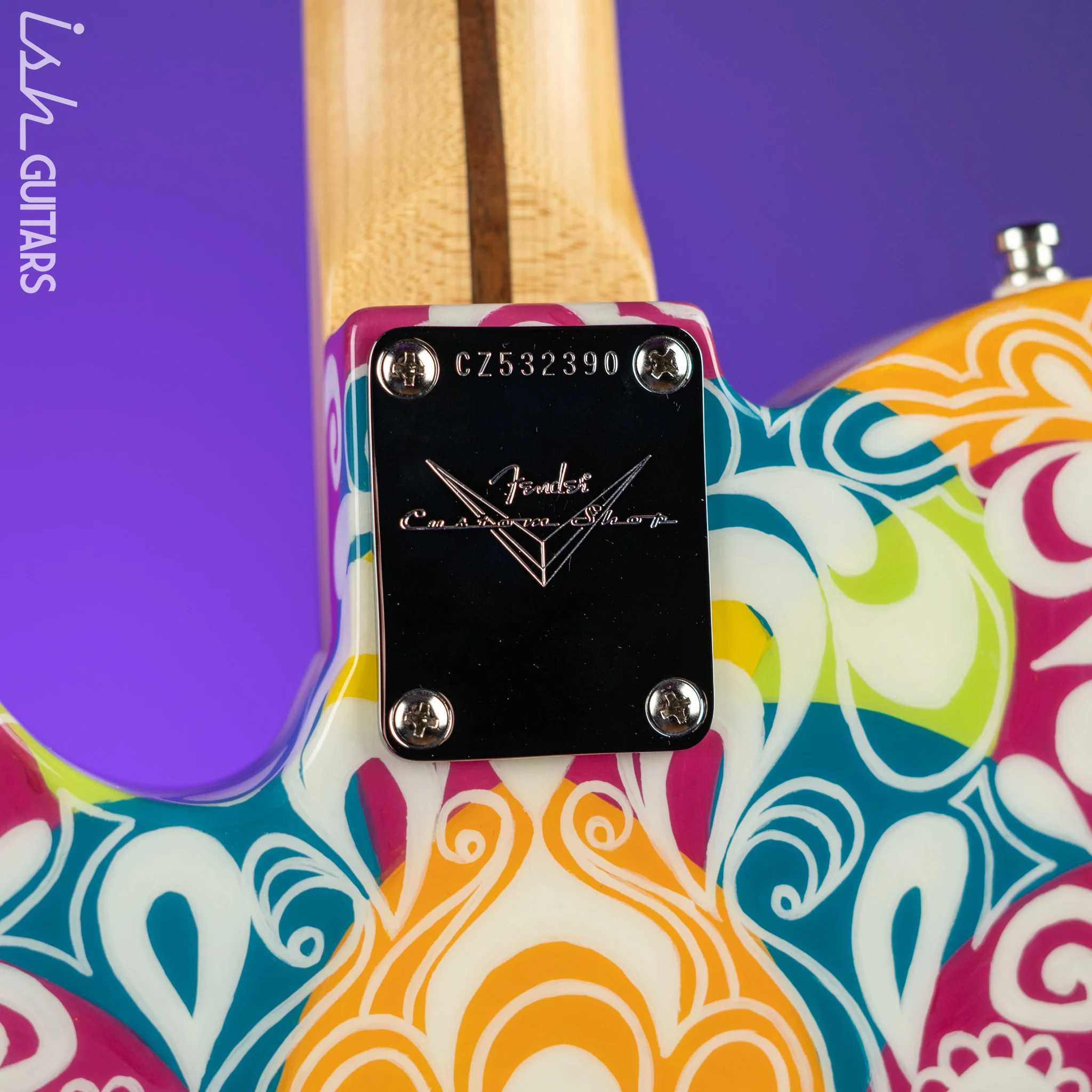2017 Fender Masterbuilt Greg Fessler Custom Shop Primavera Telecaster Madison Roy Artwork - Image 10