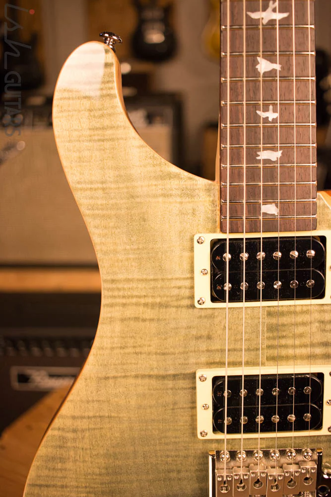 2018 Paul Reed Smith SE Custom 24 Trampas Green - Image 3
