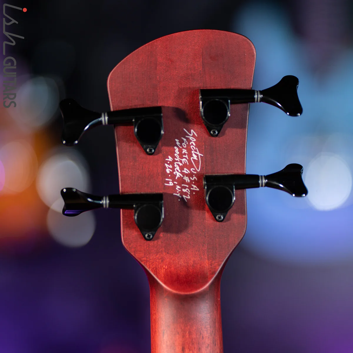 2019 Spector Forte 4 Black Cherry New Old Stock - Image 14
