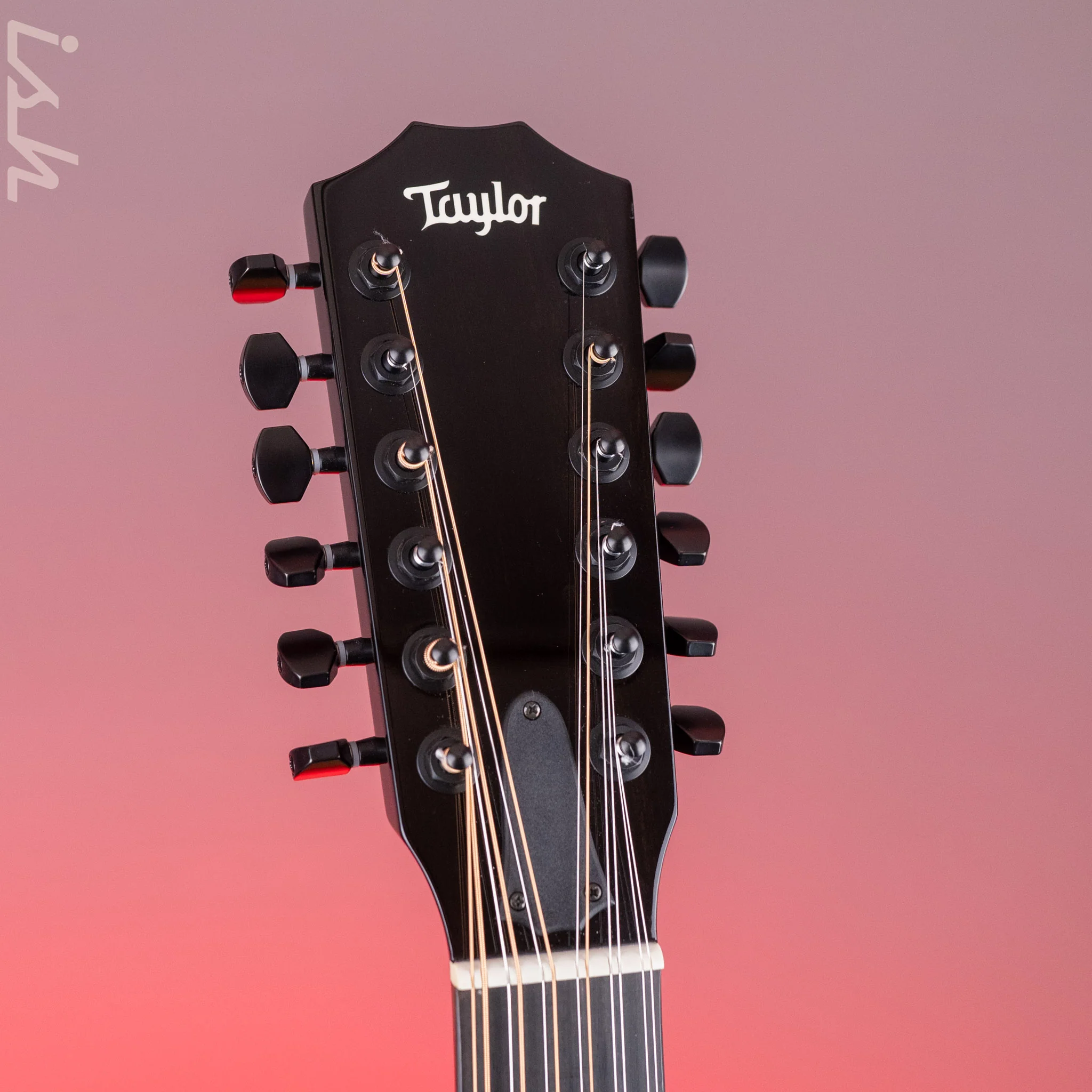 2019 Taylor Custom 250ce-BLK DLX 12-String Acoustic-Electric Guitar - Image 5