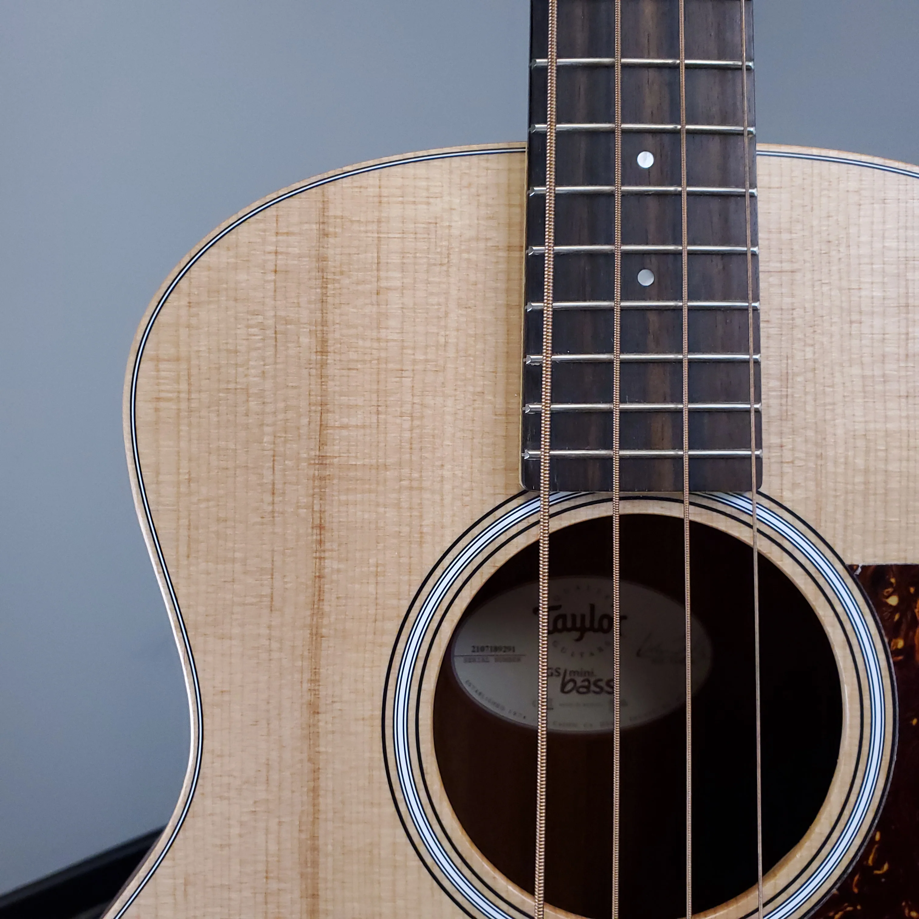 2019 Taylor GS Mini-e Bass - Image 3