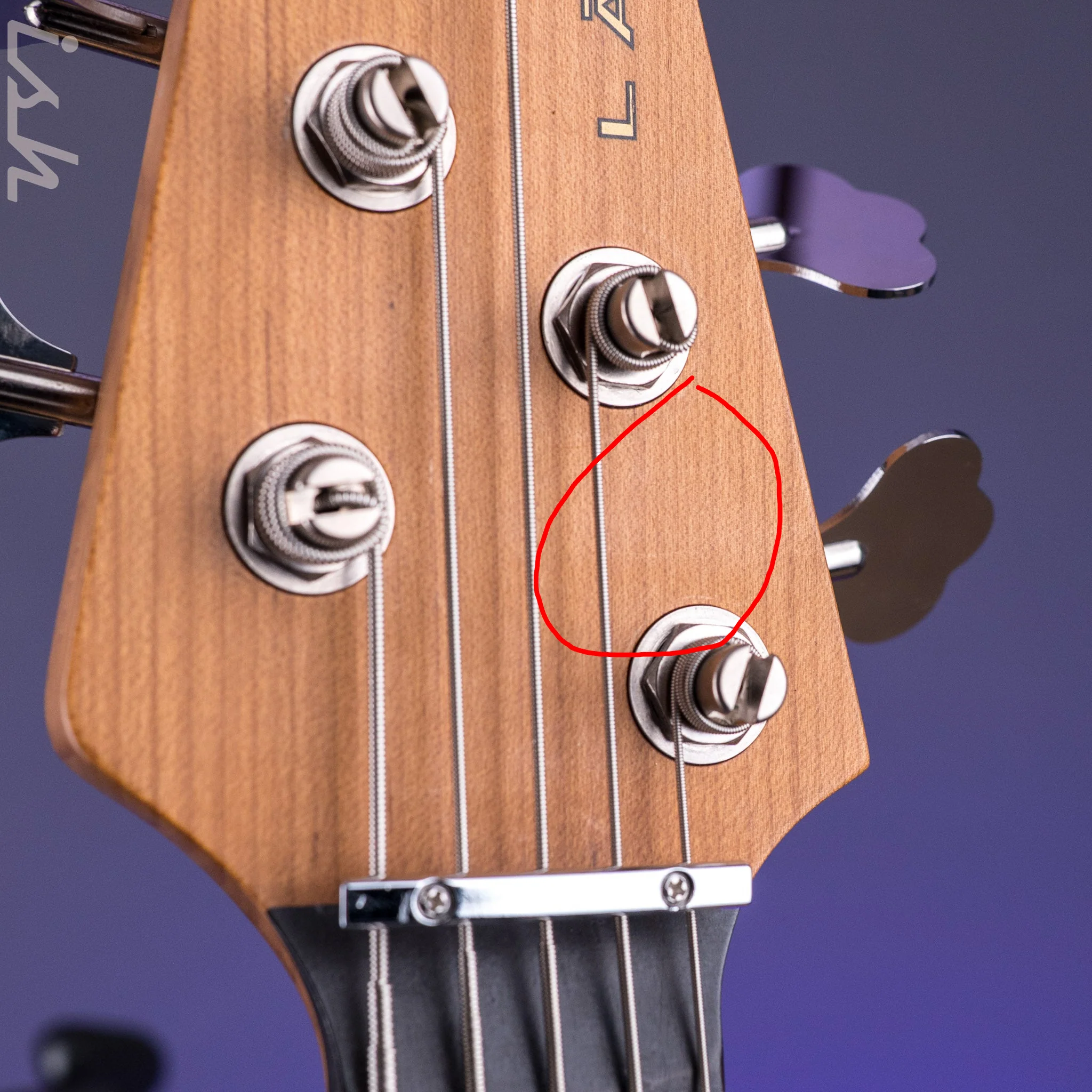 2020-2021 Lakland 55-94 Deluxe 5-String burl maple - Image 7