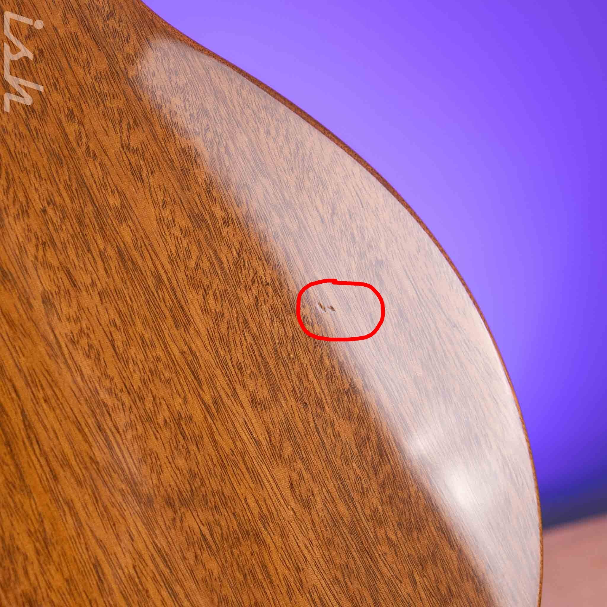 2020 Gibson Les Paul Gold Top - Image 13