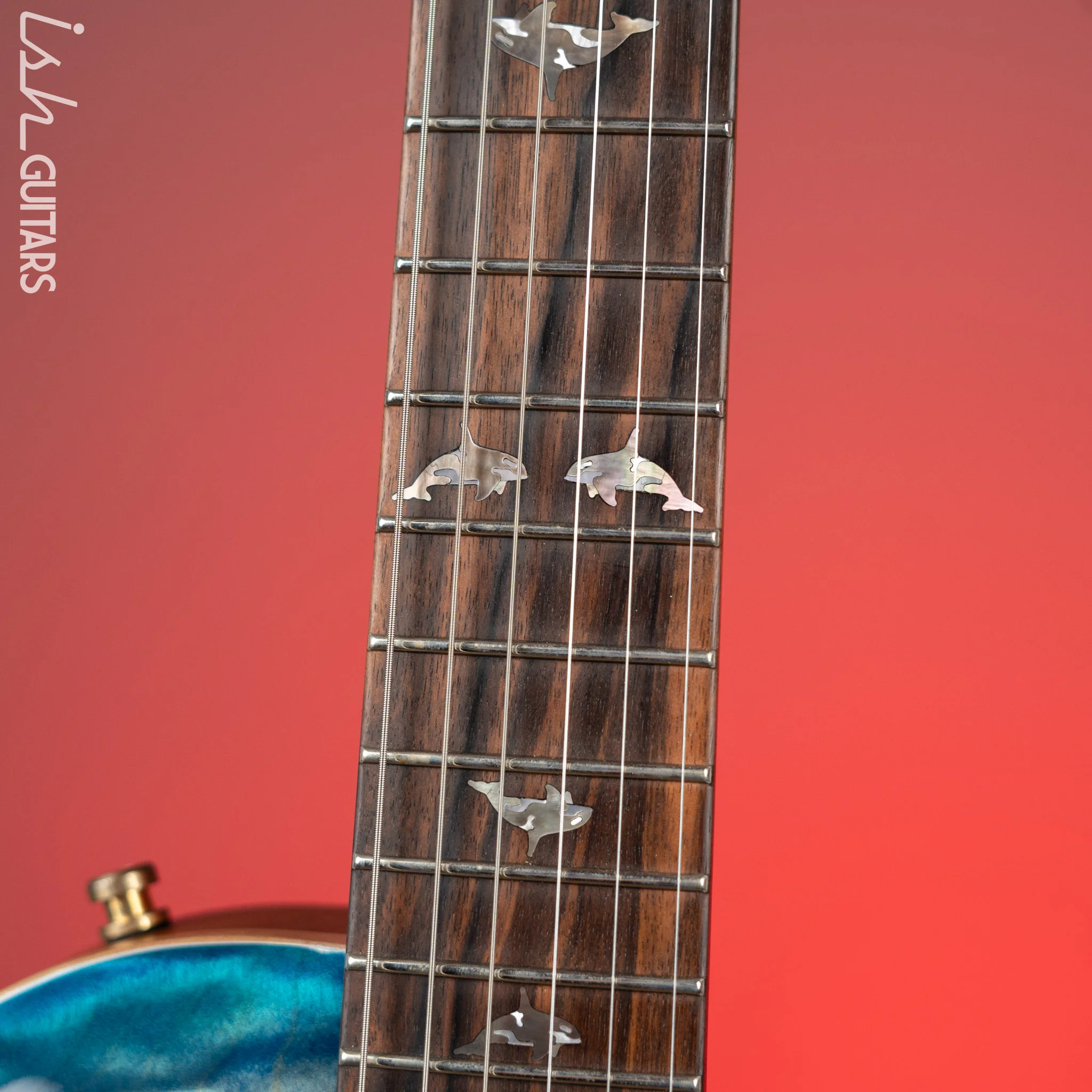 2020 Nik Huber Orca Atlantic Laguna Burst - Image 7