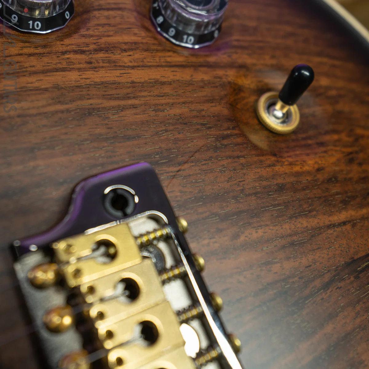 2020 PRS Private Stock DGT Sweetwater Exclusive Owls - Image 12