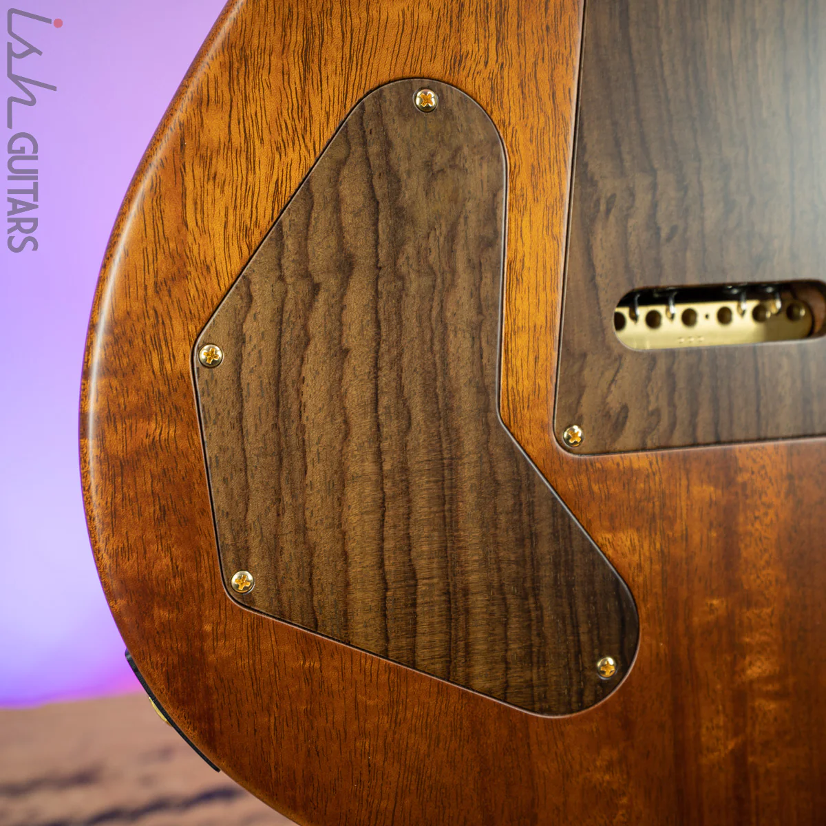 2020 PRS Private Stock DGT Sweetwater Exclusive Owls - Image 17