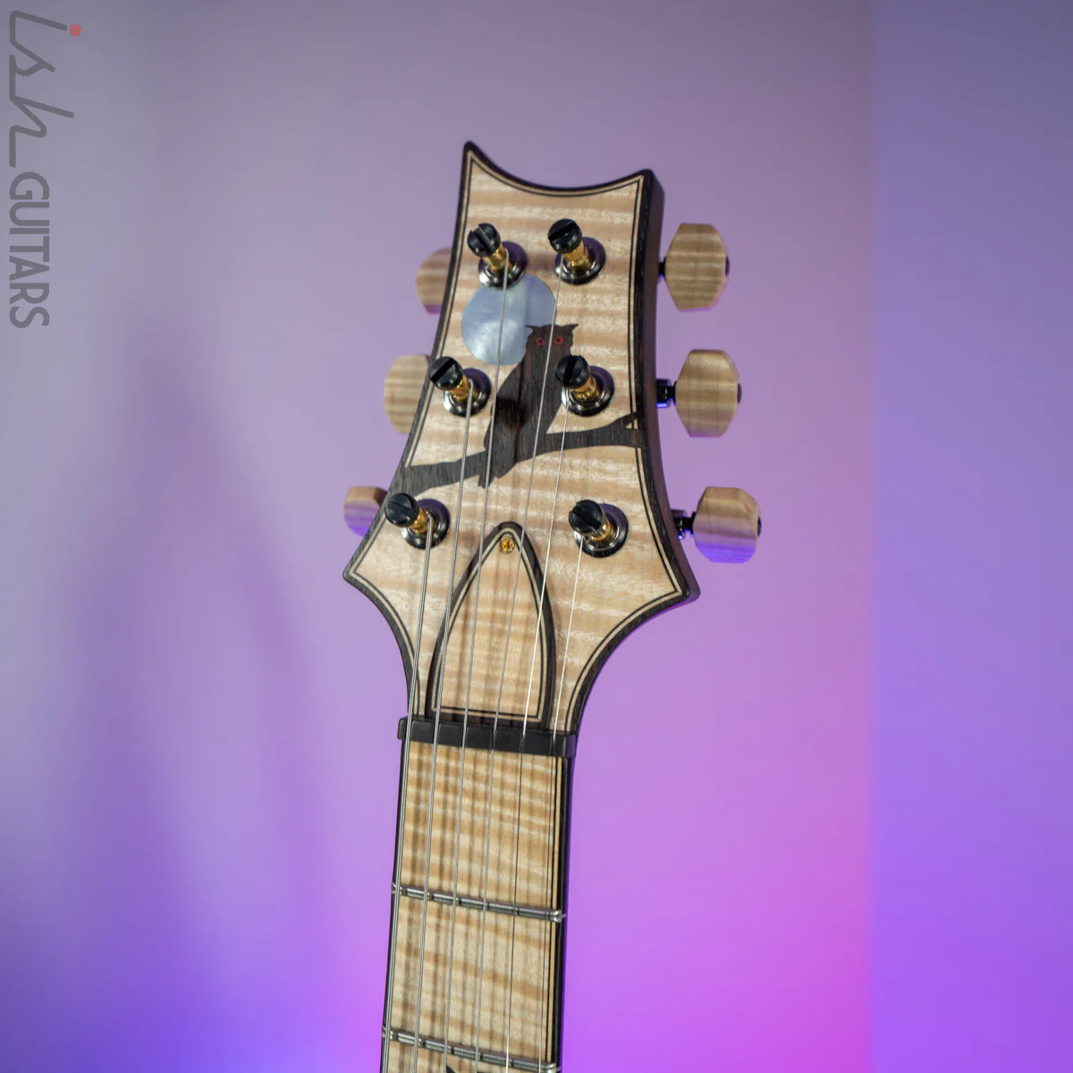 2020 PRS Private Stock DGT Sweetwater Exclusive Owls - Image 8