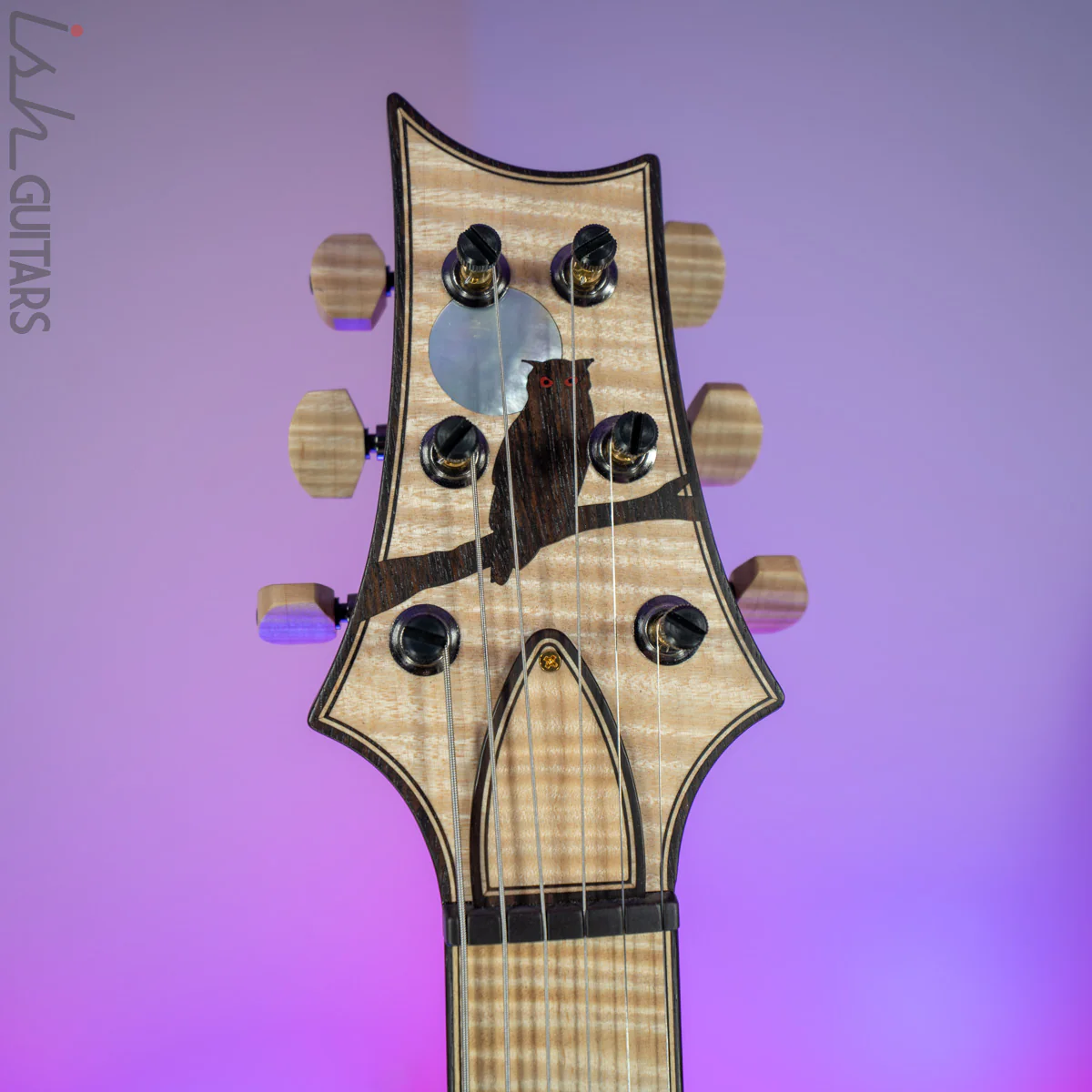 2020 PRS Private Stock DGT Sweetwater Exclusive Owls - Image 9