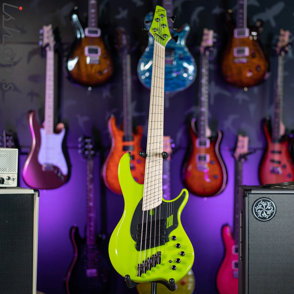 Dingwall NG-3 5-String Bass Ferrari Green - Image 2