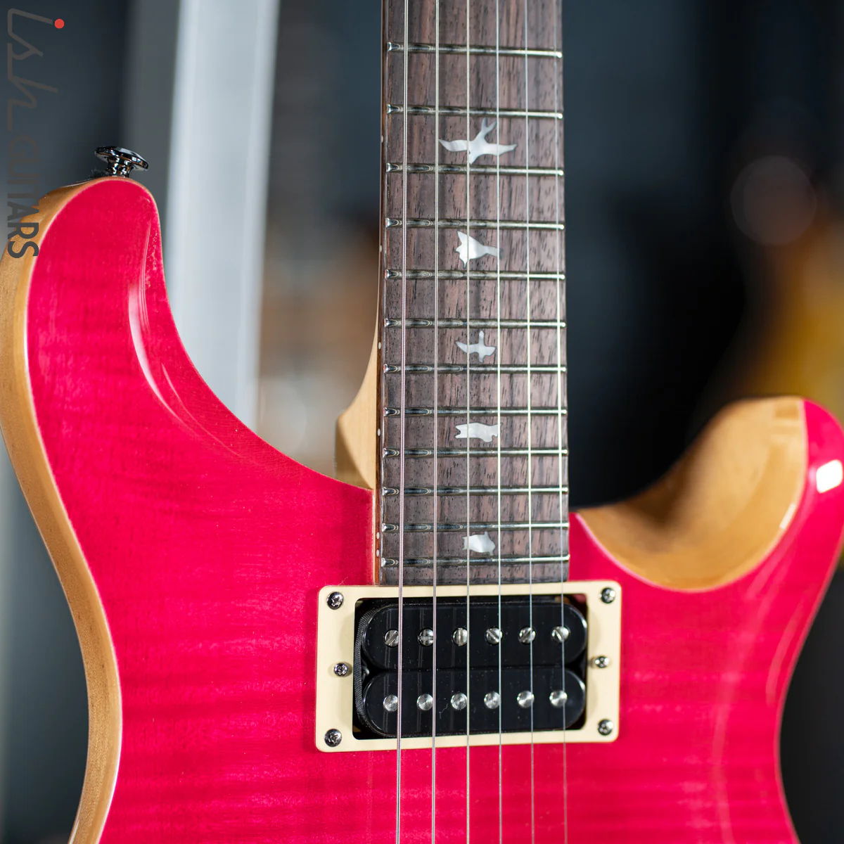 PRS SE Custom 24 Bonnie Pink Demo - Image 6