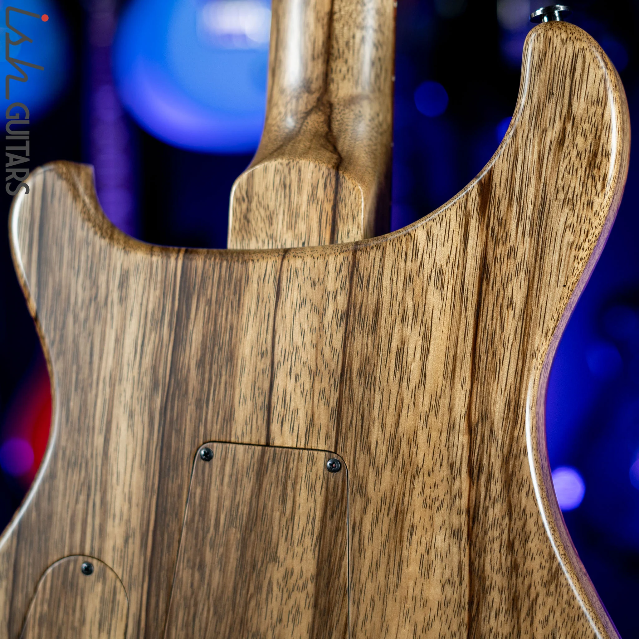 2021 PRS Custom 24 Semi-Hollow Private Natural Hormigo - Image 10