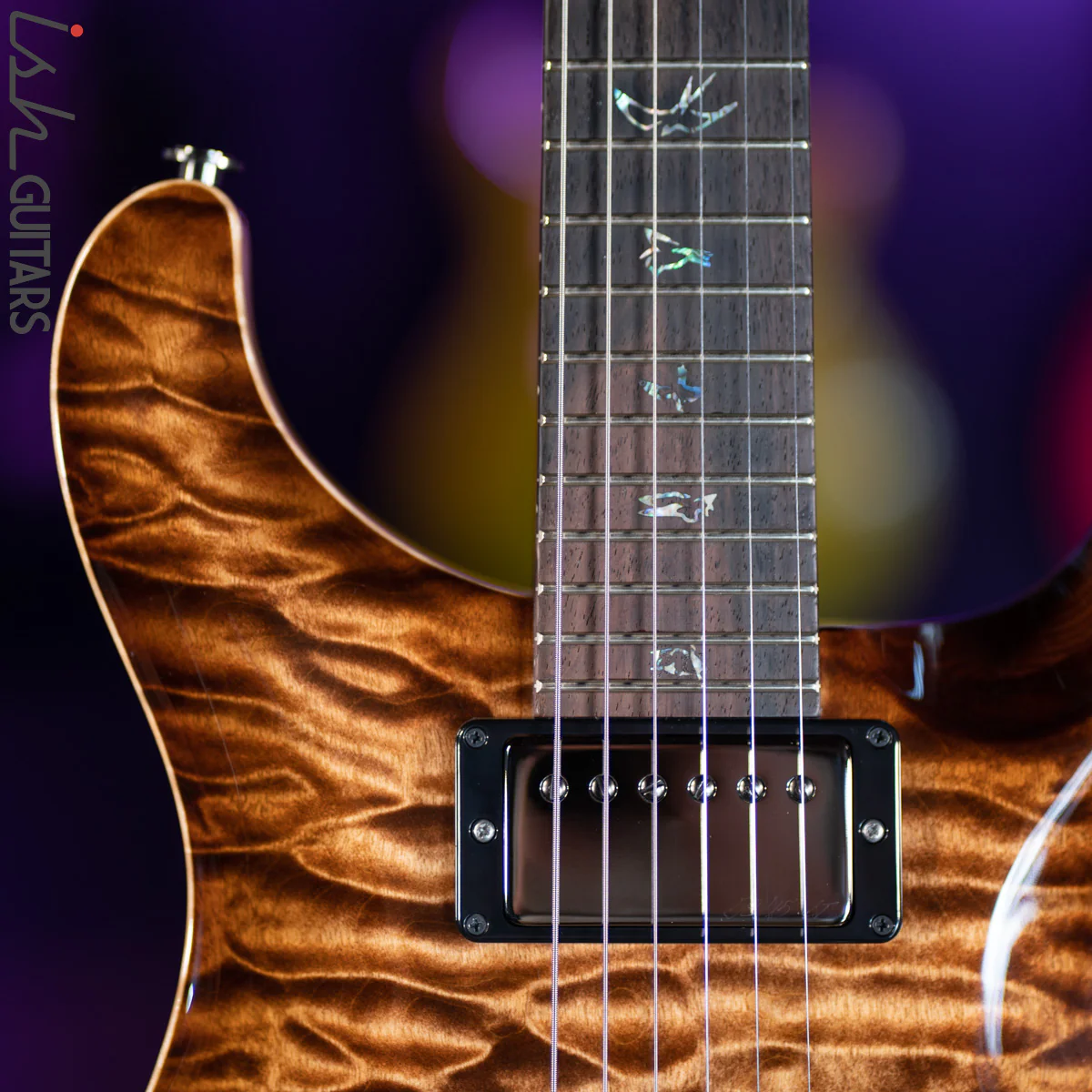 PRS Custom 24 Wood Library Copperhead Burst One Piece Quilt 10 Top Rosewood Neck - Image 3