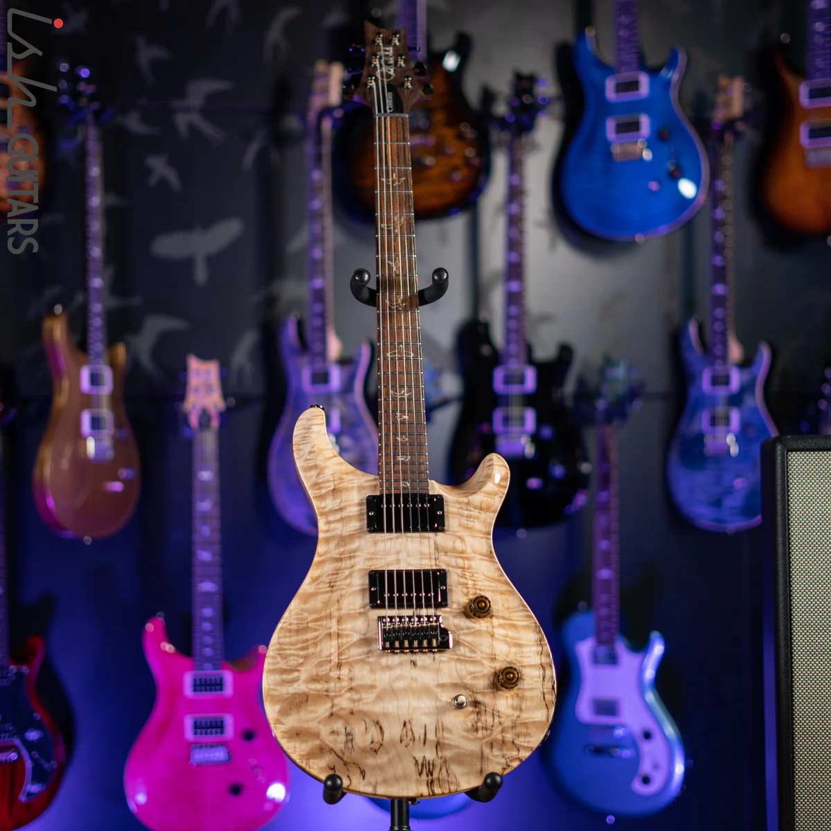 PRS Wood Library Custom 24 10 Top Quilt Torrefied Maple Neck Natural Gloss - Image 2