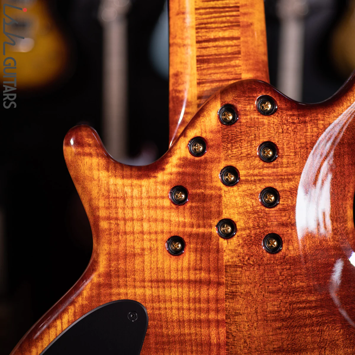 2021 Ritter Roya 5 String Bass Guitar Late Lounge Refurbished - Image 12