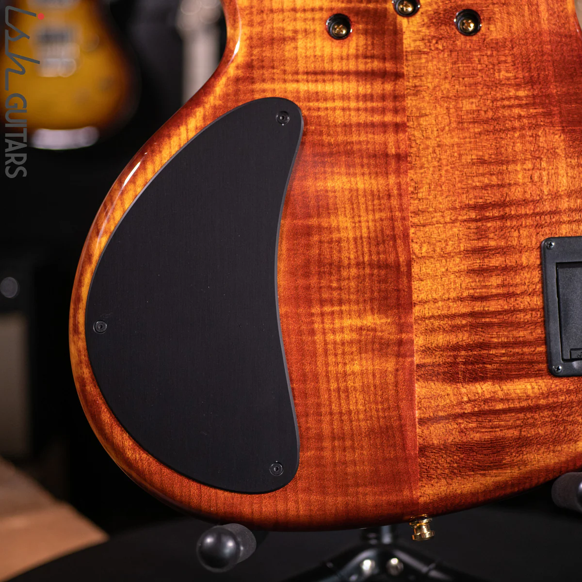 2021 Ritter Roya 5 String Bass Guitar Late Lounge Refurbished - Image 13