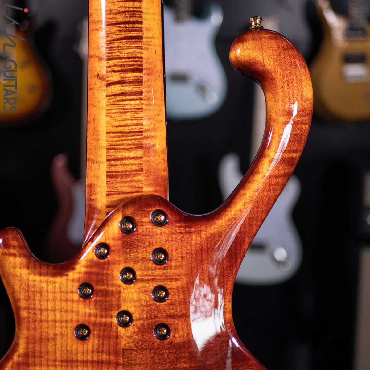 2021 Ritter Roya 5 String Bass Guitar Late Lounge Refurbished - Image 14