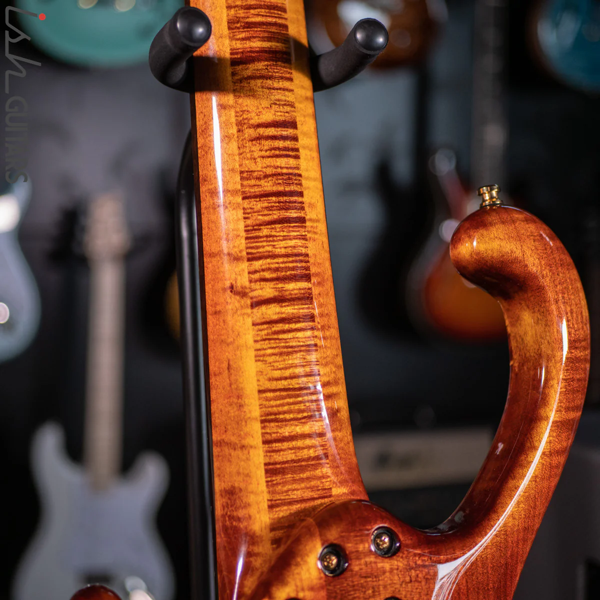 2021 Ritter Roya 5 String Bass Guitar Late Lounge Refurbished - Image 15